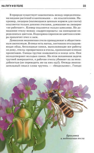 HA llyry ~ B nons                                                                      33


      B npnpone cymecrayer B3aI1MOC BH3b MeiK,n;y onpene.nenasi­
   MI1 BI1,n;aMI1 paC TeHI1H 11 HaceKOMblMI1 -         nx OnbIJII1TeJIHMI1 . Ha­
   nparaep, JIIOlJ,epHa (HBJIHIOru;aHcH lJ,eHHbIM KOpMOM ,n;JIH cxora)
   OnblJIHeTC.H TOJIbKO ,n;I1KI1MI1 n LIe JI a M I1 , noraarunne na JIIOlJ,epHe
   « He pa60TaIOT.). KJIe Bep OnblJIHeTC.H TOJIbKO llIMeJI.HMI1. Ho no­
   MallIH1010 nLIeJIy MOiKHO «nazrpeccapoaa'rsr na n ocemeane o n ­
   pezrenennsrx lJ,BeTKOB . Il onxopsnca Cl1pOnOM na lJ,BeTKOB KJIeBe­
   pa npI1BJIeLIeT n LIe JI K HI1M .
      .IJ:oMallIH.H.H Me,n;OHOCHaH n LIe JI a n p H H a,n;JI e iKH T K 06ru;eCTBeH ­
   HhIM naceKOM hIM .     B cexn,e eCTh MaTKa, nOCTOHHHO OTKJIa,n;hIBa­
   rouiaa HHlJ,a, 6eCnJIo,n;HbIe caMKH, BhITIOJI H.HIOru;He nee pa60ThI
   no zroray, nLIeJIhl -npH BpaTHHKH H n LIe JI b I , rrp n noca nure B ceMhlO
   n porrn r a a a e. CaMlJ,hl -TPYTHH nOHBJI.HIOTCH B KOHlJ,e JIeTa. OHH
   OnJIo,n;OTBOp.HIOT MOJIO,n;hIX caMOK. H a 3TOM iKH3HeHHa.H              aaziaxa
   Tp y THeH aasepuraerca, H pa60LIHe n LIe JI bI y6l1BalOT I1X aa neua­
   ,n;06HOCThlO (He nepe aomrn, iKe na HHX ezryl), OTCIO ,n; a MHOCKa­
   3aTeJIbHhlH CMbICJI CJIOBa TpyTeHb -      «6e3,n;eJIbHI1K ». I'aeano




                                                                   Bpon3 0 8/W
                                                             U   ueikinocnas: nuena
 