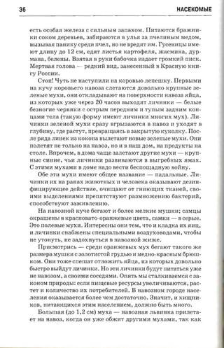 36                                                                    HACEKOMblE


     ec'rs ocofiaa xce.neaa C CHJIbHbIM aanaxora. IIHTaIOTC.H fipaxcnrr­
     KH COKOM zrepem.en, 3a6Hpa1OTC.H B YJIb.H aa rr'IeJIHHb£M Me,n;OM,
     BbI3bIBa.H naanxy cpezra rme,n, HOHe apenar HM. I'yceaansr HMe ­
     lOT ,n;JIHHy zio 12 CM, e.n;JIT JIHCTb.H xaprorperrn, maCMHHa, zryp­
     MaHa, 6eJIeHbI. B3JITa.H B pyxn 6a6o'IKa aazraer rpoMKHH rrHCK.
     MepTBa.H rOJIOBa - pe.n;KrrH BH,n;, 3aHeceHHbIH B KpacHYIO KHH­
     ry Poccan.
        Crorr! qYTb He nacryrrana na KOpOBblO .nerreuncy. Flepnsmn
     na xyny xoponsero HaB03a CJIeTaIOTC.H ,n;OBOJIbHO rcpymrsre ae­
     .neusre Myxrr, OHH OTKJIa.n;bIBaIOT na rrOBepXHOCTrr HaB03a .HHIJ;a,
     na KOTOpbIX yme xepea 20 'IaCOB BbIXO.n;.HT JIrrtIHHKrr - 6eJIble
     6e3HorHe 'IepB.HKH C OCTpbIM nepeznnoa H TynbIM 3a.n;HrrM KOH­
     IJ;aMrr TeJIa (raxyro rpopray HMelOT JIH'IHHKH MHorHX MYX). Jln­
     'IrrHKrr 3eJIeHOH MyXH cpaay BrpbI3alOTCH B naB03 rr YXO.n;.HT B
     r JIy6HHY, rne pacryr, npespanraacs B aaxpsrryro KyKOJIKy. IIoc­
     JIe pana JIHHeK H3 rcoxona BbIJIeTalOT HOBbIe aenensre MYX n. OHH
     rrOJIeTJIT He TOJIbKO na HaB03, HO rr B naur ,n;OM, na rrpoziyrcrr.r aa
     CTOJIe. Bnponera, B ,n;oMa'IaII.:(e 3aJIeTalOT zrpvr-ae Myxrr - xpyn­
     asre cnaxe, 'IbH JIH'IrrnKrr pa3BHBaIOTC.H B asrrpetiasrx .HMax.
     C 3THMH MyxaMH B ztor-re Ha,IJ;O aecrn 6eCrrOII.:(a,IJ;HyIO BorIHy.
         06e arn MyXH rrMelOT ofiruee Ha3BaHHe - nanam-mae . 31H­
     'IrrHKrr nx aa panax mHBOTHhIX H '1eJIOBeKa 0l<a3bIBa1OT neana­
     eprrlrrpYIOII.:(ee .n;eHCTBHe, O'IHII.:(aIOT OT rHrrlOII.:(rrX TKaHeH, CBO­
     HMrr BhI,n;eJIeHrr.HMH npertarcr-ayror paasrnoaceamo 6aKTepHH,
     cnocoficrayror 3amrrBJICHHIO.
         Ha HaB03HoH KY'-!e fieraror rr 60JIee MeJIKrre MyIIIKH; CaMIJ;bI
     oKpaIIIeHhI B xpacnonaro-opanacensre IJ;BeTa, caMKH - B cepsre.
     8TO no.nensre MyxH. I1HTepecHbI OHH TeM, 'ITO H KJIa,IJ;Ka ax .HHIJ;,
     H JIH'lHHKH cnatiacensr CrreIJ;HaJIhHbIMrr aoanyxononaren, 'lTo6hI
     He yTOHyTh, He 3a,IJ;OXHyThCJI B naB03HOH mHme.
         IIpHcMoTpHCh - cpezra opanacensrx MYX fierator raxoro me
     paasrepa MyIIIKH C30JIOTHCTOH rpym.ro rr Me,n;HO -KpaCHhIM 6p1OIII­
     KOM. OHH Tome cnenrar OTJIOmHTh .HHIJ;a, H3 KOTOphIX .n;OBOJIbHO
     6hICTpO BbIH.n;YT JIH'lHHKH. Ho 3TH JIH'lrrHKH 6y,n;yT rrHTaTbCJI yxce
     He HaB030M, a CBOHMH cocenaran. Onarr, MhI CTaJIK1IBaeMCJI C aa­
     KOHOM npnpczrsr : eCJIH nanreasre pecypcsi yBeJIH'lHBaIOTC.H, pac­
     TeT H KOJIH'leCTBO ax norpetiarenen. B HaB03HOM repone nace­
     JIeHH.H OKa3bIBaeTC.H 60JIee 'leM .n;OCTaTO'IHO. 3Ha'lHT, H XHII.:(HH­
     KOB, rrHTalOII.:(HXC.H 3THM HaCeJICIIHeM, .n;OJImHO 6hITb MHoro.
         BOJIbIlIa.H (zro 1,2 CM) Myxa - Han03Ha.H JIhBHHKa npa.nera­
     er na HaB03, rcorna OH yxce 06mHT ,n;pyrHMH MyxaMH, TaK KaK
 