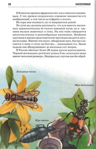 38                                                            HACEKOMblE


        B Eranre BO apexiena ¢apaOHOB 3TOT myK CqMTaJICJI CBR~eH­
     HhIM. C rex npexren COXpaHHJIOCh or-posmoe MHomeCTBO ero
     M306pameHHH, B TOM qMCJIe M3 neqipura H 30JIOTa.
        Ho rropa HaM nOKHHyTh .nyr H HanpaBHThCR ~oMoiL
        ITo nYTM MhI ~OJImHhI paccxaearr., qTO ~JIJI MHorHX nacexo­
     MhIX npMBJIeKaTeJIhHhI He TOJIhKO HaB03Hhle KyqM, HO M        TPy­
     nHKH MeJIKMX mHBOTHhIX M nTMIJ;. Ha HHX Tome co6HpaIOTCJI
     MHOrOqHCJIeHHhle H    paaaootipaansre nacexorasre. HaH60JIee
     KpynHhIM M JIpKMM npencraaare.nea rpynoeztoa RBJIReTCJI xcyx­
     MOrMJIh~HK. HMeHHO 3TH mYKH, oriaapyacaa rpyn, 6hICTpO CJIe­
     TaIOTCJI K nesry M CTOJIh me 6hICTpO ... 3aKanhIBaIOT ero. 3anax
     nanann OHM o6HapymHBaIOT aa HeCKOJIhKO COT MeTpOB.
        B POCCHH 06HTaIOT 60JIee 20 BH~OB mYKOB-MOrHJIh~MKOB.
     LfepHhIH MOrMJIh~MK~OCTMraeT~JIMHhI 3 CM, OCTaJIhHhle BM~hI
     MMeIOT MeHhllIMe   paaxrepsr.   H~KPhIJIhR y myKoB KaK 6hI o6py6-




                                                             JKY1C-·ltOZUJlbUJ,UIi
 