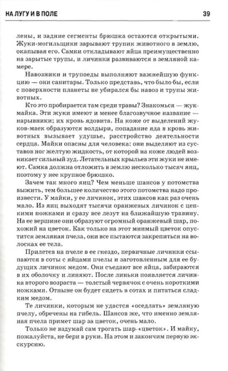 HA Jlyry H B nOJlE                                                                39


   JIeHbI, H 3a,[(HHe cerMeHTbI fiprotrrxa OCTalOTCJI OTKpbITbIMlf.
   JRYKH-MOrHJIbIIJ;HKH aapsmaior TpyIIHK iKHBOTHoro B 3eMJIIO,
   OKalibIBaJI ero. CaMKH OTKJIa,[(bIBaIOT JIHlI,a IIpeHMYIIJ;eCTBeHHO
   aa   aapsn-sre    TPYIIbI, H JIHLIHHKH pa3BHBalOTCJI B 3eMJIJIHOH rca­
   Mepe.
        HaB03HHKH H TpYIIoe,[(bI BbIIIOJIHJIIOT BaiKHeHIllYIO qJYHK­
   Il,HIO -   OHH   caaa-rapsr.   TOJIbKO IIpe,[(CTaBb, LITO 6bIJIO 6bI, eCJIH
   C noaepxnocrn IIJIaHeTbI He y6HpaJICJI 6bI HaB03 H TPYlibI iKH­
   BOTHbIX.
        RTo 3TO IIp06HpaeTCJI TaM cpena        rpaasr? 3HaKOMbCJI -      iKYK­
   MaHKa. 8TH iKYKH HMelOT H MeHee 6JIar03BYLIHoe Ha3BaHHe ­
   HapbIBHHKH; HX KpOBb JI,[(OBHTa . Ha KOiKe OT BbI,[(eJIeHHH iKY­
   KOB-MaeK 06pa3YlOTCJI BOJI,[(blpH, IIOIIa,[(aHHe JI,[(a B KpOBb iKH­
   BOTHbIX     BbI3bIBaeT     yzryrm.e ,   paCCTpOHCTBO       ,[(eJITeJIbHOCTH
   cepznra. MaHKH       onacnsr    AJIJI LIeJIOBeKa: OHH BbI,[(eJIJIIOT H3 CYC­
   TaBOB nor iKeJITYIO iKHAKOCTb, OT KOTOpOH aa KOiKe JIIO,[(eH B03 ­
   HHKaeT CHJIbHbIH 3Y,[(. JIeTaTeJIbHbIX KpbIJIbeB 3TH iKYKH He HMe ­
   lOT . CaMKa ,[(OJIiKHa OTJIOiKHTb B 3eMJIlO HeCKOJIbKO TbICJILI JIHIl"
   n03TOMY Y nee xpyrmoe 6pIOIilKO.
        3aLIeM TaK MHoro JIHlI,? qeM MeHbIlle IllaHCOB Y nOTOMCTBa
   BbliKHTb, TeM 60JIbIllee KOJIHLIeCTBO aroro nOTOMCTBa HaP-O npo ­
   H3BeCTH.    Y    MaHKI1, Y ee JIHLII1HOK, 3THX IllaHCOB KaK paa OLIeHb
   MaJIO. H3 JIHIl, BblXOAJIT TbICJIlJ:H     opanacensrx    JIHLIHHOK C uen­
   KHMH HOiKKaMH H cpaay see JIe3YT aa 6JIHiKaHIllYlO TpaBHHY.
   Ha ee nepnrane OHH 06pa3YlOT orpOMHbIH             opaaaceasm nrap, no­
   XOiKHH aa Il,BeTOK. RaK TOJIbKO na 3TOT MHHMbIH Il,BeTOK onyc ­
   THTCJI 3eMJIJIHaJI nLIeJIa, OHH see nblTalOTCJI 3aKpenHTbCJI na BO­
   JIOCKaX ee TeJIa.
        IIpHJIeTeB na nLIeJIe B ee rHe3,[(0,    nepna-msre    JIIILIHHKH CCbI­
   IIalOTCJI B COTbI C flHIl,aMH nLIeJIbI II 3arOTOBJIeHHbIM ,[(JIJI ee 6y­
   ,[(YIIJ;HX JIHLIHHOK Me,[(OM . OHH C'be,[(aIOT see JIHIl,a, 3a6HpalOTCJI
   B HX 060JIOLIKY H JIHHJIIOT. IIocJIe JIHHbKH nOJIBJIJIeTCJI JIHLIHH­
   rca aroporo B03paCTa -         TOJICTbIH LIepBJILIOK C osens KOpOTKHMI1
   HOiKKaMH. OTHbIHe OH 6YAeT CHAeTb B COTax H nIITaTbCJI CJIa,[( ­
   KHM Me,[(OM .
        Te JIHlJ:HHKH, KOTOpbIM He y,[(aCTCJI «ocennarr. . 3eMJIJIHYlO
   nLIeJIY, 06peLIeHbI aa rH6eJIb . IIIaHcoB xce, LITO HMeHHO 3eMJIJI­
   HaJI nLIeJIa npnsrer nrap aa Il,BeTOK, OLIeHb MIUIO.
        TOJIbKO He B3AYMaH caM 'rpora'rs urap-e uaerox e • H           MaHKY,
   nOiKlUIYllCTa, He 6epH B PYKH. Ha 3TOM H 3aKOHLIHM nepBYIO 3K ­
   CKYPCHIG.
 