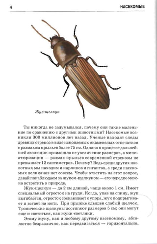 4                                                                            HACEKOMblE




               JKyK-w,eJ/.KyH



       ThI nnxor-zta He 3a,n:yMbIBaJIC.H, no-rexry OHH TaKHe MaJIeHb­
    KHe no cpaBHCHHlO C ,n:pyrHMH JKHBOTHhIMll?                  Hacercoxn.re    B03­
    HHKJIH   300   MHJIJIHOHOB JIeT naaazt. Y'IeHhIe naxona r CJIe,n:bI
    ,n:peBHHX CTpeK03 B BH,n:e HCKonaeMhIX OKaMeHeJIhIX OTnC'IaTKOB
    C pa3MaXOM KpbIJIheB 60JIce           75 CM .   O,n:HaKO B rrpcnecce ,n:aJIhHCH­
    IlleH SBOJIlOI.J:HH npOH30IllJIO He yserravenne paaraepo a, a MHHH­
    aTlOpH3aI.J:l1.H -     paanax KpbIJIbeB COBpeMeHHOH CTpeK03bI He
    npensnnaer     12 caHTHMeTpO B. Ilo'IeMY? Bezn, CpC,n:H n pvrnx JKH­
    BOTHhIX MhI naxozra a H KapJIHKOB H rHraHTOB, a cpezm nacexo­
    MbIX BeJIHKaHOB HeT COBceM . "Y:T06bI OTBeTHTh aa STOT aorrpoc,
    ,n:aBaH nOHa6JIlO,n:aeM 3a JKyKOM- r.n:e JI K y H o M -     ero Hepe,n:KO MOJK­
    HO BCTpeTHTh B npnpozre .
       :>KYK -r.n:eJIKyH -     no   2   CM ,n:JIHHOH, 'Iar.n:c OKOJIO   1   CM . HMeeT
    CneI.J:HaJIhHbIH OTpOCTOK na rpYP;H .            Eorna,   ynas aa cnnay , JKyK
                                                                                          -~
    BhIrH6aeTC.H , OTpOCTOK COCKaKHBaeT C ynopa, JKyK                  nonnpsrr aaa­
    er H BCTaeT aa aoru.
    Tpon a vecx n e
                                 Tlpn npsracxe        CJIbIIlleH CJIa6bIH r.n:eJI'IOK .
                         r.n:CJIKyHhI ,n:OCTHralOT paaraepoa
    e rne H CBeTHThC.H, KaK JKyKH-CBCTJI.HKH.
        8TOMY JKyKy, KaK H JI1060My ,n:pyroMy nacercowoxry,
                                                                  5   CM ; OHll MoryT


                                                                                 a6co­
                                                                                           )
    JIlOTHO 6e3pa3JIH'IHO, KaK n e p e n n a r-a r sca -          ropH30HTaJIbHO,
 