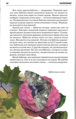 42                                                                         HACEKOMblE


        BOT JIeTIIT   npyraa      6a60l:lKa -   Me,n;Be,n;llJJ;a.   Ilepemrne xp sr ­
     JIb.H 3TIIX fiafionex IIMeIOT 3aIJJ;IlTHYIO orcpacrcy, nx rpyzmo aa­
     MeTIITb,   xorna               na CTBOJIe nepesa . Bazmae KPbIJIb.H,
                          OHII Cll,n;.HT
     Ha060poT, oKpaIIIeHbI     o-rem, .HpKO - 3TO ornyr-asaromaa oxpac­
     rca. Ilorpeaoxcerrnaa aa CTBOJIe fiafio-nca BHe3anHO pacrcpsraaer
     KPhIJIb.H II .HpKa.H orcpacxa II.HTeH orrryr-naaer IITIIJJ;y • Menaezm ­
     JJ;a naxona rca rrozt oxpanoii,
          Op,n;eHCKa.H JIeHTa -    6a60l:lKa HOl:lHaR, ,n;HeM OHa cnrrr na
     CTBOJIax. KOHTpaCT 3aIJJ;IlTHOii oxpacrcn nepe)J;HIIX KphIJIbeB II
     apxon 3a,D;HIIX ,n;OJImeH orrryr-av-n, soaraoacaor-o spara. I'ycean­
     JJ;hI nllTaIOTCR JIIICTh.HMH nepensea, HO 60JIhIIIerO spena .necy OHH
     He HaHOC.HT. Ba60tIKll HOtIhIO JIeT.HT na CBeT, BhIOTC.H OKOJIO
     JIaMn . Haxozrarca non oxpanoii. Tlo-reray 3TH 6a60tIKll,n;epmaT­
     C.H B03JIe rreca, He YJIeTaIOT na JJ;BeTYIJJ;lle nyra? C O,n;HOM CTOPO­
     HbI, 6a60tIKaM ,n;JI.H nm-aana nyxcen nercrap JJ;BeTKoB, KOTOphIX
     He MHoro B rycrora .necy. C ,n;pyro:i1: CTOpOHhI, nx ryceHIIJJ;aM nyxc­
     HbI JIeCHhIe pacrerma . Ha HIIX 3Tll 6a60tIKll, xoropsre 11 casta­
     TO He,n;aBHO BbIIIIJIll1l3 KyKOJIOK, 3aKpenJIeHHhIX              aa BeTB.HX ne­
     pensen,    OTJIOmaT CBOll .HMJJ;a .
        KpOMe 6a60l:leK, MhI       aavrenaesr cTpeMIITeJIhHO npOJIeTaIOIJJ;IlX
     O,n;IlHOtIHhIX OC. I'zie -r o B .necy Haxo,n;.HTC.H nx noprcn. He ,n;aM 60r
     CJIY'Ia:i1:Ho aacryrrart, aa OCIIHoe r-aeazro - IIOJItIIIIJJ;a soopyxcen-




                                                           Opoencxasi nenma
 