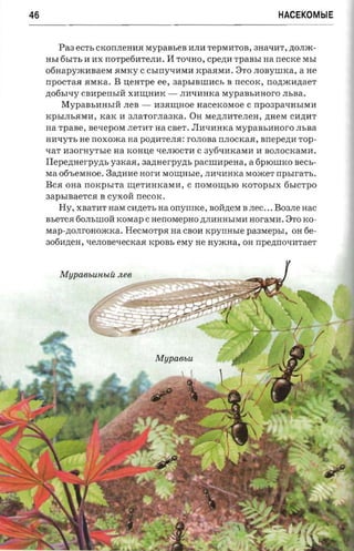46                                                                     HACEKOMblE


        Pa3 ecrr, CKOnJIeHlHI MypaBbeB HJIH TepMHTOB, 3HaqHT, .a;OJIJK­
     HbI 6bITb H HX nOTpe6HTeJIH.    I1 TOqHO, cpezm    TpaBbI     na necxe MbI
     o6HapyJKHBaeM SIMKY C cbmyqHMH KpaSIMH. 3TO JIOByIIIKa, a He
     npOCTaSI SIMKa. B   uem-pe   ee, 3apbIBIIIHCb B neCOK,         nozrxornaer
     .a;06blqy CBHpenbIH XHr:u;HHK -     JIHqHHKa MypaBbHHoro JIbBa.
        MypaBbHHbIH JIeB -        H3SIr:u;Hoe   nacercoraoe   C   npoapa-rasrxn
     KPbIJIbSIMH, KaK H 3JIaTOrJIa3Ka. OH Me.a;JIHTeJIeH, .a;HeM CH.a;HT
     na TpaBe, ae-reposr JIeTHT aa CBeT.    JIHqHHKa MypaBbHHoro JIbBa
     HHqYTb He nOXOJKa aa po,n;HTeJISI: rOJIOBa nJIOCKaSI, anepezra TOp­
     xa'r H30rHYTble na KOH:u;e qeJIlOCTH C 3y6qHKaMH H BOJIOCKaMH.
     Ilepenaerpyzn, y3KaSI,    aazinerpyzn, paCIIIHpeHa, a 6PlOlliKO sees­
     Ma 06'beMHoe. 3a,D;HHe norn Mor:u;Hble, JIHqHHKa MOJKeT          npsrra'rs.
     BcSI OHa   norcpsrra   r:u;eTHHKaMH, C nosroursro KOTOpbIX 6bICTpO
     3apbIBaeTCSI B CYXOH necox.
        Hy, XBaTHT HaM caztert, na onynnce, BOH,n;eM B nee ••• B03JIe Hac
     BbeTCSI 60JIbillOH KOMap C nenossepao .a;JIHHHbIMH noraxnr. 3TO KO­
     Map-.a;OJIrOHOJKKa. HeCMOTpSI na CBOH       xpynnsre paawepsr,      OH 6e­
     306H.a;eH, qeJIOBeqeCKaSI KpOBb esry He HyJKHa, OH rrpennosnrraer




        Mupaeuucui: nee
 