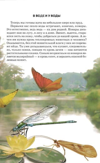 B BOA E   ~   Y BOAbl

   Teneps MbI      rOTOBbI HP;TH    aa netio.m.moe   03epO HJIH   npyn.
   I Ie p B bI M H HaC OKOJIO BOP;bI BCTpeqaIOT, KOHeqHO, KOMa pbI.
8TO eCTecTBeHHo, Bep;b sorta -         HX P;OM ponaoir . KOMapbI noca­
:>KLlaIOT HaM na   .nyry,    B .necy H B LlOMe. 3BeHHT, BbIOTCH, crapa­
10TCH cecr s aa KO:>Ky, qT06bI Ll06paTbCH LlO naurea KpOBH .         A    aa ­
qeM HM Hy:>KHa KpOBb TerrJIOKpOBHbIX :>KHBOTHbIX H qeJIOBeKa?
OKa3bIBaeTcH, 6e3 STOll :>KHBHTeJIbHOll BJIarH y HHX He C03peBa­
IOT HllI.!,a . Tbl yxce   nor-azrsraaemsca,   qTO KycaIOT, CJIeLlOBaTeJIb ­
HO, TOJIbKO caMKH, CaM I.!,aM-TO KpOB b 3aqeM -           OHH rrHTaIOTCH
paCTHTeJIbHbIMH COKaMH . CaMbIM HerrpHHTHbIM H3 KOMapOB HB­
JIHeTCH MaJIHPHllHbIH -         H KpOBb cocer , H eapaam-s o nacuoii 60­
JIe3HbIO MO:>KeT .
 