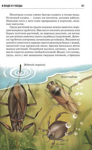 B BOAE   ~   YBOAbl                                                                      61


       H ex or opsre     KJIOIIhI YMe lOT 6hI CTpO IIJIaBaTb B TOJIllle B O,lI,h I.
   O T JI l1 Q H h I R nJIOBeIl -     IIJIaBT; OH OXOTl1TCH, ,lI,OrOHHH ,lI,06hIQY.
   Tlepeznrae nor-a        y Hero Tome       npeapauieasr    B KOpOTKl1e, MOlll,­
   asre XBaTaJIKl1 .
       Cpe,lI,I1 paCTeHl1R      a a r pysrr e BO,lI,OeMa MomHO 3aMeTl1Th ne pe­
   ,lI,BHralOIlll1eCH Tpy60QKl1 . OHI1 MoryT COCTOHTh 113 3 e JI e H bI X l1JIl1
   6ypbIX KyCOQKOB paCTeHl1R , H3 MepTBhIX paKyIIIeK, 113 nectca ;
   na nne MomHO 3aMeTl1Th Muoro IIOA06HbIX coopyxceuaii . )];OMH ­
   KH -Tpy60QKl1 IIOCTpoeHhI JIl1QHHKaMl1 pYQeRHHKa. B03bMeM l1X
   AOMOR 11 nOMeCTl1M B             aa panee npHrOTOBJIeHHylO 6aHKy C B O,lI,OR ,
   H a ChIII JI e M Ty,lI,a II P OM b I T b I R IIeCOK , 6pOCHM H eCKOJIbKO B e T OK
   B OA H h I X paCTeHHR . I Io n p o6 y e M B hlrHaTh JIl1Ql1HKY, BhITaJIKl1­
   B a H ee C3a,[(11113 AOMl1Ka XB ORHOR HrOJIKoR. B H A H O, Q'ro r OJIOBa,
   rpyzu.,    HOrl1 y   nee aaunnneasr TBepAhIM            Xl1Tl1 HOM,   a   6PlOlliKO




                              lOU ctcopnuon
                         BOaR/-




                                                                K A on-ZA a ObIUl.
 