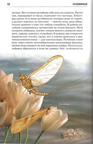 62                                                                 HACEKOMblE


     MRrKoe. BOT H CTpOHT pytIenHHK ce6e ,n;OM ,UJIR 3aIJJ;HTbI. PaCTeT
     caxr ,   HapaIJJ;HBae T H 'IeXOJI, CKperrJIReT ero 'IaCTHIJ;bI. B 6blCT ­
     psrx percax ect s BH,n;bl py'IenHHKOB, xorcpsre ,UOM a He CT p OR T ,
     a ne.naror BOpOHKH H3 rraYTHHbl -          JIOBtIHe cer a; sozr a 06R3a ­
     T eJIbHO rrpanecer B HHX 'ITO-HH6y,n;b c-senorinoe. B ,n;OMHKe py ­
     llenHHK y,n;ep.IKHBaeT CR IJJ;eTHHKaMH na KOHue fipiounc a . Hor-n
     OCTa:lOTC.H ca otionn s r, 3HatIHT, MO.IKHO BMe CTe C ,n;OMHKOM rroxo­
     ,UHTb, caxovry rrOHCKa Tb c-sezrofiaoe, B ,n;OMHKe zrsa OTBepCTHR:
     IIIHpOKoe ,n; IR rOJIOBbl, rpyzra, nor H coacexr xpoxornoe B rrpo ­
                     J
     THBOrrOJIO.IKHOM KOHIJ;e -     ,n;JIR nporoxa BO,n;bI. PytIenHHK rOHHT
     aozry -repea ,n;OMHK BOJIHOo6pa3HblMH ,n;BH.lK eHHRMH 6p:lOIIIKa,
     CB e .IK a R nona OMbIBaeT aa HeM n apyxcnsre .lK a6pbI. Kyxo .mca py­
     tI enHHKa ofipaaye-rca B STOM .IKe .n;OMHKe. OH a OTJIHtI aeT C.H OT
 