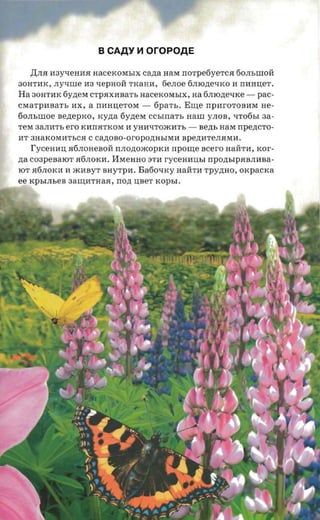 B CAAY     ~   OrOPOAE

   ,UJIH l'13yqeHl1H HaCeKOMhIX cana HaM norpeoyerca 60JIhWOH
30HTl1K, .ny-nne 113 qepHOH TKaHl1, 6eJIoe 6JIIO,lJ,eQKO 11 nl1HI.I;eT.
Ha 30HTl1K 6Y,lJ,eM CTpHXl1BaTh HaceKOMhIX, aa 6JIIOJJ;eQKe -       pac­
cMaTpl1BaTh l1X, a nl1HI.J;eTOM -     fipar-s.   Eure   npl1rOTOBl1M He­
60JIhWOe senepxo, rcyzra 6Y,lJ,eM CChITIaTh Haw yJIOB, QTo6hI aa­
TeM 3aJIl1Th ero Kl1nHTKOM 11 YHl1QTOJKl1Th -       Be,lJ,h HaM npezrcro­
l1T 3HaKOMl1ThCH C Ca,lJ,OBO-OrOpO,lJ,HhIMl1 BpeJJ;l1TeJIHMl1.
   I'yceann H6JIOHeBOH nJIO,lJ,OJKOpKl1 npome scero HaHTl1, xor­
zra C03peBaIOT H6JIOKl1. HMeHHO oTl1 rycenmna           nponsrpaanana­
IOT H6JIOKl1l1 JKl1BYT BHyTpl1. Ba60QKy HaHTl1 Tpy,lJ,HO, OKpaCKa
ee KphIJIheB 3am;l1THaH, non UBeT KOPhI.
 