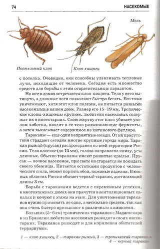 74                                                                                 HACEKOMblE




     Ilo cm emacuii KJlOn

      C n OTOJI K a. OqeBH,n;HO, OH II CnO C06HbI Y JIaBJIIlB a Tb T enJIOBble
      JIyqIl, IlCXO ,n;.HW;Ile OT q eJIOB eKa. CerO,n;H.H ecr t, MHOmeCTBO
      Cpe,n;CTB ,n;JI.H 60Pb6bI C 3TIlM OTBpaTIlTeJIbHbIM n ap a3HTOM.
          H a to r e B ztovrax BCTpeqa eT C.H K JIOn-XHIIJ;HeIJ;. TeJIo y Hero BbI­
      T.HHyTO, a ,n;JIHHHble nor-a n03BOJI.HlOT 6bI CTpO fi er- ar s. E ro Tome
      YHHqT OmalOT, X OT .H 3TOT K JI On nOJIe3eH, OH n HTaeTC.H pa3HbIM Il
      HaceKOMbIMH B nanresr ,n;OMe.              Paaraep ero 15 -19 MM . 'I'ponaxec ­
      xn e KJIOnbI-XHIIJ;HeIJ;bI xp ymr ee, JIlO6IlTeJIIl HaceKOMbIX c o nep ­
      »car IlX B IlHce KTapIl.H X. CBOlO xcep r -ay 3TOT KJIOn y6HBaeT yKO­
      JIOM x 0 6 0 T Ka , BBO,n;IlT B e e TeJIO paaxooxarourae ¢ epMeHTbI
      a 3aTeM        asrcacsmaer co,n;epmHM o e         H3 XHTHHOB o r o ¢ YTJI.Hpa.
          Tapaxaa sr -           erne O,n;HH n enparrnrsre c o c e zra . O T H X npac y r c­
      TBH.H crpazr aior c e r o zra s MHorH e        x pyrmsre ropon a        M H pa . Tap a ­
      K a H pblm H H (npyc a x) pacnpocrp aa en no BceH re p pm-op ms P OC­
      CH H . T e JI o n JI OCKO e (no    13 MM) , r OJIOB a   aanpaan en a K H H3 Y , y CbI
      ,n;JIIlHHbl e. 0 6 bl qII O    r apaxaasr   H MelOT     paaaa-rsre KPbIJI b.H .      IIp    ­
      cax -         HO qHOe iracerco x oe , npn CBeTe OH CT a p a eTC.H H e noxnzta rs,
      c a o e r o y 6emH IIJ;a . IIIlT aeTC.H OCTaTK aMIl npony xro n C q e JIOB e­
      q e CIWrO CTOJI a, Mom eT         rroprm-s 0 60H , x oxcaasre      Il3,n;e JIH.H.   B lOm   ­
      HbIX 06JI aCT.HX POCCH II 0 6 H TaeT qepHbIH T ap aK aH , ,n;oCTHralOIIJ;U ­
      ,n;JIIlH bI    3 CM .
           B opsfia      C r a paxan a snr B e,n;eT C.H C n ep eMeH HbI M y c rr e x o            •
      B M Hor 03TamH b l X ,n;OMax OHH n p a -r yrc a B BeHTH JI .HIJ;H OHII bI X x a ­
      H aJI aX H K OqylO T C er a xc a a a araac . ,UJI.H YHIlq T OmeHH.H Tap a K a ­
      H OB HymHo n p IlM e H .HTb He O,n;HO, a H e CK OJIbK O c p e zrc -m , T a K K
      OH H Oq e H b 6bI CTpO n p n a snc a ror K p a 3 JIHqHb I M XIl M IlKaTaM .
           BOJIbIIlIlX        (5-6 CM ) TpO n H q e CKIlX T a paK a H OB C Manaracx a
      H H3 Bpa3HJIIlIl JIlO6u T e JI H H ace K OM bI X p a a a o zra r B CBOUX HHc e K ­
      Ta pH.Hx. T a p a K a HOB        pasaona r    H ,n;JI.H KOpMJI e H H.H 0 6 H T a T e JIe ­
      T e p p apIl yM OB .

       1 - «no n-xuuineu 2 -i- m apa x a n PblJ/(UU, 3 - mp OnU'leCKUU m a

                                                          4 - 'l ep li bl U m

 