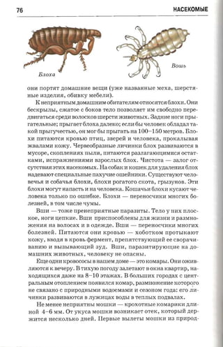 76                                                                   HACEKOMblE




     OHH nOpTHT ,ll;OMallIHHe Be~H (Y./Ke       naaaaam.re    Mexa, llIepCTJI­
     asre   H3,ll;eJIHH, 06HBKy Me6eJm).
          K aerrpaarnsra ,ll;OMaIIIHHM 06HTaTeJIHM OTHOCHTCH 6JIOXH. OHH
     6eCKphIJIbI, C./KaTOe C 60KOB TeJIO n03BOJIHeT HM CB060,ll;HO      nepe­
     ,ll;BHraTbCH cperm BOJIOCKOB mepcrn ./KHBOTHhIX. 3a,ll;HHe nortr npsr­
     rarensnsre: npsrraer firroxa zranexo: eCJIH 6hI LIeJIOBeK 06JIa,ll;aJI ra­
     KOH npsrry-recr-sro, OH Mor 6hI rrpsrrarr, aa 100-150 M eTpOB. BJIo­
     XH nHTaIOTCH KpOBbIO nTHU;, asepeii H LIeJIOBeKa, npOKaJIbIBaH
     ./KBaJIaMH IW./KY.    Hepaeotipasnsre JIHLIHHKH 6JIOX pa3BHBaIOTCH      B
     Mycope, CKOnJIeHHRX rrbIJIH, rrHTaIOTCH          pa3JIaraIO~HMHCHOCTaT­
     KaMH, H Crrp a./KHeHHHMH B3POCJIbIX 6JIox. "Y:HcToTa -          3aJIOr OT­
     CyTCTBHH 3THX HaceKOMbIX. Ha Co6aK H KOllIeK ,ll;JIH y,ll;aJIeHHH 6JIOX
     rrazreaaror CneU;HaJIhHbIe naxy-me OllIeHHHKH. Cy~eCTBYIOTqeJIO­
     BeqhH H C06aqbH 6JIOXH, 6JIOXH poraroro CKOTa, rpbI3yHOB. 3TH
     6JIOXH MOryT nanac'rs H na LIeJIOBeKa.     Komavsa 6JIOXH K Y CaIOT q e ­
     JIOBeKa TOJIbKO rro oumfirce. BJIOXH -       nepeaoc-nnca MHorH X 60 ­
     JIe3HeH, B TOM LIHCJIe LIyMbI.
        BllIH -   TO./Ke   npenenpna-msre napaan-rsr. TeJIo y HHX rr JIO C­
     xoe, HorH u emcne. BllIH    npncnocotinensr ,ll;JIH ./KH3HH H pa3MHO­
     ./KeHHH aa BOJIOCaX H B oztexczte.     Bum -       nepeHOCqHKH MHorHX
     60JIe3H eH. IIHTaIOTcH OHH KpOBbIO -              X060TKOM npOTbIKaIOT
     KO./Ky, BBO,ll;H B KpOBb cPepMeHT, rrpena-rcrayrouraii ee CBOpaqH ­
     BaHHIO H BbI3bIBaIO~H H 3y,ll;.      Bum,   napa3HTHpYIOIl~Heaa no­
     MaIlIHHX ./KHBOTHbI X, qeJIOBeKy H e OnaCHbI.
        Erne O,ll;HH H:pOBOCOCbI B HaIIIeM ztovre -    3TO KOMapbI. OHH O./KHB­
     JIHIOTCH K sexepy. B THXyIO norozry 3aJIeTaIOT B OKHa xaaprnp, na­
     XO,ll;Rru;HXCH naace na   8-10   sraacax. B 60JIbIlIHX roponax C uenr­
     PaJIbHbIM OTOnJIeHHeM rrORBHJI CR KOMap, p a3MIIO)l{eHHe        rcoroporo
     He CBH3aHO C npnpO,ll;HbIMH BO,ll;OeM aMH H ce30HOM rona: ero JIH­
     qHHKH pa3BHBaIOTCH B JIY./KHu;aX       nozrsr B TenJIbIX nozrsanax.
         He MeHee HenpHHTHbI MOlllKH -          KpOXOTHbl e KOMapHKH ,ll;JIH­
     HOH    4-6 MM.   OT yrcyca MOlliKH B03HHKa eT OTeK, KOTOpbIH nep­
     ./KHTCH HeCKOJIbKO ,ll;HeH.    Ilepnsre   BhIJIeTbI MOlliKH H3 npapozr-
 