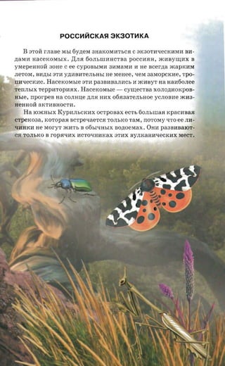 POCC~'1CKASI 3K30T~KA

   B    3TOH: r.naae MhI 6y)J;eM 3HaKOMHThCH C 3K30TH'IeCKHMH BH ­
)J;aMH HaCeKOMhIX. AJIH 60JIhIlIHHCTBa pOCCHHH, JK11BY~11X B
yMepeHHOH: 30He C ee CypOBhIMH 3HMaMH 11 He scerna JKapKHM
JIeTOM, B11)J;hI 3TH y)J;11BHTeJIhHhI He MeHee, 'IeM 3aMopCKHe, TPO­
IIH"'-leCKHe.   Hacercorasre 3TH pa3BHBaJIHCh 11 JKHByT na HaH60JIee
TeIIJIhIX TeppHTopHHX.      Hacexosrsre - cymecrna XOJIO)J;HOKpOB­
nsre,   nporpes aa COJIHu;e )J;JIH HHX 06H3aTeJIhHOe yCJIOBHe JKH3­
HeHHOH: aKTHBHOCT11 .
   Ha IOJKHhIX KYP11JIhCKHX OCTpOBax ecrr, 60JIhiliaH KpaCHBaH
CTpeK03a, KOTopaH BCTpeLIaeTCH TOJIhKO TaM, IIOTOMy 'ITO ee JIH­
LIHHKH He MoryT JKHTh B 06bI'IHhIX aozroeraax. OHH pa3BHBaIOT­
CH TOJIhKO B ropHLIHX HCTOLIHMKax 3TMX ByJIKaHHLIeCKMX MeCT.
 