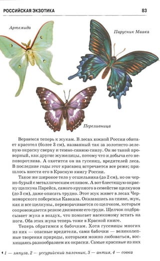 POCC~~CKA~3K30T~KA                                                                      83


      Apmescuiia
                                                                              Ilapqcnu« Maaica




                                ("




              BepHeMC5I reneps K iKyKaM . B .necax IOiKHOI1 POCCl1H 06HTa­
         er KpaCOTeJI (60JIee 3 CM), Ha3Ba HHblI1 TaK aa 30JIOTl1CTO -3eJIe­
         HyIO orcpacxy caepxy 11 TeMHO-CHHIOIO CH113Y . OH He TaKOI1 n p o­
         BOPHbII1, KaK zipyr-ae iKyiKeJIHIIbI, no-roray qTO H ,n,06blqa ero He­
         nOBOpOTJIl1Ba. A OXOTHTC5I OH aa r-ycerrau, Bp e,n,l1TeJIeI1 neca.
         B nOCJIe,l:HHe rozn.r STOT xpacanen BCTpeqaeTC5I s ee peace : n p n­
         IIIJIOCb BHeCTH ero B K paCHYIO KHHry POCCl1H.
              Taxoe iKe IIIHpoKoe TeJIO y OTIlleJIbHHKa (,1:0 2 CM), HO OHq ep ­
         Ho-6YPblI1 CMeTaJIJIHqeCKHM OTJIHBOM. A BOT6JleCT5IIIIYIO oxpac­
         tcy LIIeJIKyHa Tlapeiica , canoro rcpynuoro B CeMeI1CTBe IIIeJIKyHoB
         (,1:03 CM), naxce orr ncarr, TPY,l:HO. STOTiKyK iKHBeT B rrecax Hep­
         noraopcxoro rrofiepexct.a KaBKa3a . OKa3aBIIIHCb n a cnnne, iKYK,
         KaK H see IIIeJIKyHbl, nepesopa-raaaerca co IIIeJIqKOM, KOTOpblM
         conpOBOiK,I:aeTC5I pearcoe ,l:Bl1iKeHHe ero rpyznr . m eJIq OK nozrfipa­
         CbIBaeT xcyxa B B03,1:YX, qTO n oxror ae'r n acercoraoray BCTaTb aa
         n or-a . 06a STHX iKyKa Ten ep b TO:tKe B Kpacaoa KHHre .
              'I'erreps 06paTHMC5I K 6a60qKaM. XOT5I r-ycenmrsr MHOrl1X
         H3 HHX - onaCHble Bpe,l:HTeJIl1, caMH 6a6oQKH - BeJIl1KOJIen­
         n s re TBOpeHl15I npapozn,r, KOTOpbIM H MOiKHO JII060BaThC5I, BOC­
         XHIIIa5ICb pa3Ho06pa3HeM HX OKpaCKH. Carasre rcpacansre H3 Hl1X

~   1-   :M tn y 3 a ,   2-   yCCypUUCKU U n a JLO'lH U K ,   3-   anm ust,   4-   C06 Ka
 