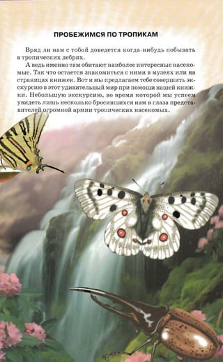 np06E>K~MCSl         no TPon~KAM
     Bpan   JIil HaM C To6oH ,n:OBe,n:eTCH Kor,n:a -Hil6y,n:b rro6bIBaTb
B   -rponaxecxax ,n:e6pHx,
      A Be,n:b ilMeHHO TaM 06WfaIOT nantionee ilHTepeCHble aacexo­
Mble . TaK lITO OCTaeTCH 3HaKOMilTbCH C HI1MI1 B My3eHx I1JIil na
crpaannax KH(1)KeK. BOT il MbI npeztnaraexr refie COBepIllI1Tb SK ­
CKypCilIO B STOT y,n:ilBilTeJIbHbIH Milp npn nosrornn narnea KHil)K­
Kil , He6oJIbIllYIO SKCKypCilIO, BO BpeMH KOTOpOH MbI ycrreera
yBil,n:e'fb JII111Ib HeCKOJlbKO 6POCilBllIilXCH HaM B r.naaa npencra­
BilTeJIeH.orpOMHoH apMilI1 rpornorecxax HaceKOMbIX .
 