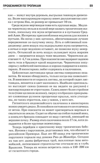 np05E>K~MCSI     no TPon~KAM                                                             89


  KHe -       mHByT   nayrpa nepensen, usrrpsraaa rHI1IOIlJ,YIO ,D;peBeCI1­
  HY. BOJIee MacKHpylOIlJ,YIO orcpacrcy HMeeT ,D;ByxrrHTHHCTaJI 3JIaT­
   rca C OCTpoBa HBa,      ee   paaraep   He   npensnnaer 10 CM.
       Cpe,D;H myKoB-MepTBOe,D;OB Tome           ecrs rcpyrmsre BI1.D;bI.   Me,D;JIH­
   Ka-qepHOTeJIKy HeJIb3H B rrOJIHOH. Mepe Ha3BaTb TpOrrHqeCKI1M ml1­
   TeJIeM, rrOCKOJIbKY STI1 myKI1 BCTpeqaIOTCH 11 B             nycrsmax Cpen­
   HeH. A31111. I1HTepecHb1 rrpl1crrOC06JIeHI1H Me,D;JIHKOB MH ml13HI1 B
   rrYCTbIHe. Ha      norax y HI1X IlJ,eTHHKI1, ofiecnevaaaronrae rry-mree
   nepenaaxcenae rro csrrryseray rrecrcy. ECTb 11 co6CTBeHHbIH. KOH­
   ,D;111l,110Hep: ,D;HeM B03,D;yX non Ha.D;KPbIJIbHMI1 myKa narpeaaerca,
   a HOqbIO B Hope Me,D;JIeHHO OCTbIBaeT, He rr03BOJIHH myKy                 aaxiep­
   3HyTb. OCTbIBIllI1H. aa HOqb B03,D;yX OXJIam,D;aeT xcyxa mapKI1M
   ,D;HeM -    aarpenaerca B03,D;yX Tome Me,D;JIeHHO. QepHOTeJIKI1 ,D;O­
   crnraror 4-4,7 CM ,D;JIHHb1. IIpH orraCHOCTI1 OHH 3a.D;l1paIOT 3a.D;HIOIO
   xacrr, TeJIa H 6pbI3myT e,D;KOH. ml1,D;KOCTblO. QepHOTeJIKI1 norry­
   JIHPHbI y JII06I1TeJIeH. HaceKOMbIX 11 xoporno CO,D;epmaTCH B HHceK­
   TapHHX. B I1HCeKTapl1HX JIlO6HT coziepxcarr, 11 IIaJIOqHI1KOB.
      IJ;eH.JIOHCKaH JII1CTOBH,D;Ka cpezm JII1CTBb1 COBepIlleHHO aeaa­
   MeTHa. Ee MomHO ofirrapyxcn-r», TOJIbKO KOr,D;a OHa meaerrsner­
   CH. B 3aBI1CI1MOCTH OT OKpaCKH JIHCTBbI, na KOTOPOH. CH,D;HT JII1C­
   TOBI1,D;Ka, MeHHeTCH H uaer nacercoraoro. HaH60JIee 0pHrI1HaJIb­
   HO BbIrJIH,D;HT     caraxa     (I1MeHHO ee BbI BI1,D;HTe      aa   pI1CYHKe) C
   MaCKl1pYIOIlJ,HMI1 ee OTpOCTKaMI1.  Casren HMeeT 60JIee CTpOH.HOe
   TeJIO (Tome ll,eJII1KOM aenenoe), csepxy ero 6PlOlliKO npmcpsraa­
   lOT CJIOmeHHb1e pyJIOHOM npoapa-nnae KPb1JIbH, HOrl1 yTOJIIlJ,e­
   HbI, HO TaKHX OTpOCTKOB, KaK y caMKM, y Hero HeT.
       I'araarcxoro      HH,D;OHe3HH.CKOrO rraJIOqHHKa B HHceKTapHHX
   MomHO yBH,D;eTb pe,D;KO.       B CIIOKOH.HOM COCTOHHHI1 ero He OTJIH'II111Ib
   OT BeTKH. IIpl1 orraCHOCTH OH MomeT rrpl1TBOpl1TbCH MepTBb1M H
             na 3eMJIIO. CH,D;I1T OH 06bIY:HO na cTe6JIe rOJIOBOH. BHH3,
   CBaJIl1TbCH
   axoneu ero 6plOIIIKa cosnaztaer rro BI1,D;y C BeTKOH., I1MelOIlJ,eH. aa
   nepnmne no-ncy. Paaraep aroro IIaJIOqHI1Ka OKOJIO 17 CM, XOTH rro­
   rra.D;aIOTCH H 60JIee   rcpyrrasre     SK3eMrrJIHpb1.
       Teneps               xpacoxnoray MHpy TporrHy:eCKI1X 6a6o­
                 rrepeH.,D;eM K
   qeK. HaY:HeM C  napycnurcon, pO,D;CTBeHHb1X TeM, 'ITO 0611TalOT B
   pOCCHH.CKOM Ilpaxopse. EIlJ,e JIeT 60 Ha3a,D; STI1 rporraaecrcne
   napycaaxu nopxann Ha,D; ,D;OMaMI1 Pl1o-,D;e-JKaHeH.po. CerO,D;HH
   HX TaM HeT: ,D;b1MbI epa6pHqHbIX rpvfi, BbIXJIOrrHbIe raasr aBTO­
   Mo6MJIeH., HHTeHcMBHoe CTpOHTeJIbCTBO OTOrHaJII1 I1X B                     r-rryfis
   Bpa311JII1I1.   Teneps       I1X MomHO BCTpeTI1Tb JII111Ib B 150-200 KM
   OT r-araa-rcxoro r-opozra.
 