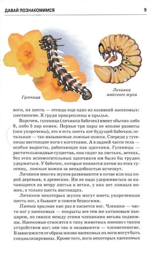 AABAVI n03HAKOM~MCSI                                                                           9




                                                                          JIU'lUflKa
                                                                      Jft a UCKOZO JlCy K a
            I'uceuuua

     no r-a,   I1X WeCTb -       eute O,n;HO 113 Ha3 B a H I1 H n acexosrsix:
                                  OTCIO,n;a
                            rrpnxpen n em-r 11 xpsinsa .
     rueCTI1HOrl1e. K r p y zta
      Bnpoven, rycen a na (JIl1ql1HKa 6a6oqeK) I1MeeT 06blqHO JI1160
 / 8, JI1160 5 rrap aoxcerc. Tlepnsie Tpl1 napsr He BrrOJIHe pa3Bl1TbI
I (OHI1 yx opoa en sr), no 11 eCTb m ecrr, nor 6y,n;yw;eH 6a6oqKH; OC­
(	   TaJIbHble -        TaI{   aaasrsaerasre .noxorsre    HomKH.       Cnep eznr y    ryce­
     H HIIbI HaCTOHW;l1e          nor a   C KorOTKaMH.   A   B aazmeii qaCTH TeJI a ­
     ocofisi e BblPOCTbI, patio'raiourae KaK W;l1rrQHKI1.                 I'y ceuausr ­
     pacr-arensncarrasre cyutecraa,             OHH CH,n;flT aa JIHCTbH X, serrcax ,
     6e 3 o T H X BcrrOMOraT eJIbHbIX W;11rrQHKOB HM 6bIJIO 6bIrpynno
     yne pacar s ca. Y 6a6oQeK, xoropsre rrOHBHTCH rrOTOM 113 oTI1X ry­
     CeHI1II, no xcasre HomKH sa HeHMo6HOCTblO I1CQe3H YT.
           JII1QHHKI1 MHorHX         xcyrcon p a3Bl1BalOTCH     B   no-rse I1JIH nozt   K O­
     pOH    nepense s,     B zrpese caae. HM He        nano   yzrepacaaar sca aa x a­
     Q alOW;HeCH a a se'rpy JIHCTbH 11 B eTKH , y H11X HeT JIOmHbI X HO­
     xce x , a TOJIbKO mecr s HaCTOHW;I1X.
           JII1QHH KI1 HeKOTopbIX xcyxoa MoryT 11MeTb yrcopo-remnae
     urec rs     nor,   a 6bIBalOT 11 COBceM 6e3HOr11MH.
           IIRmbl.U npU3fWK K aK pa a II xacaerca             nor'.   1{JIeHHK11 -     xac­
     TIl   nor   y HaceKOMbIX -           noxpsrn.r   see TeM me X11TI1HOBbIM        naa­
     II11peM, HO CBH3KI1 M em,n;y o T I1M I1 QJIeHI1KaM11 seci.raa               nozranac­
     HbI.   Hacexore sre OTHOCHTCH K r nny ml1BOTHbIX 11MeHHO C TaKl1M
     y CTpOH CTBOM        nor-;    OHI1 TaK 11 Ha3bIBalOTCH -         QJIeHI1CTOHorl1e.
     B 3aBI1CI1MOCTI1 OT ofipaaa m11 3H11 HaceKOMbIX 11X HOrl1 MOryr 6bITb
     Crr e III1aJI113 11p OB a H bI. KpOM e roro, HOrl1 HeKOTopbIX HaceKOMbIX
 