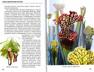 САМЫЕ УДИВИТЕЛЬНЫЕ РАСТЕНИЯ



     конструкторского   искусства   можно    считать        листья­

     ловушки непентесов.

       Эти удивительные растения встречаются в теплых

     и влажных джунглях на территории Цейлона, Мада­

     гаскара, Юго-Восточной Азии, Филиппин, Новой Зе­

     ландии и северной части Австралии. Концы листьев

     у непентесов превратились в своеобразные кувшинчи­

     ки. Они достаточно крупные, в каждом бывает до одно­

     го литра кисловатой влаги, поэтому непентесы стара­

     ются закрепить такой кувшин с помощью усиков на

     прочных стеблях соседних растений. Горлышко кув­

     шина   окружено   крупными   шипами,        защищающими

     его содержимое от незваных гостей. Вход в кувшинчик

     закрыт крышечкой. Позже между ней и телом кувши­

     на возникает зазор, который постепенно увеличивает­

     ся. Крышечка предохраняет кувшин от переполнения

     дождевой водой и одновременно служит          «посадочной

                              площадкой,)        для основной

                              добычи непентесов         -    летаю­

                              щих насекомых.

                                  По внешней стороне кув­
                              шина сверху вниз          проходят

                              два зубчатых выроста, кото­
                              рые    служат      как   для   опоры

                              кувшина,      так и для направ­

                              ления    ползающих            насеко­

                              мых.     Привлеченные           запа­
                              хом нектара, они в конечном

                              счете    оказываются           внутри

                              кувшина и обычно падают в
                              находящуюся         внутри         жид­

                              кость.   Внутренние стенки

                              ловушки       настолько         глад­

                              кие,    что   по   ним    не    могут


                              подняться даже насекомые,


                              хорошо    ползающие           по   вер­

       Кубкu неnенmесов       тикальным стеклам.                        Ловчuй кувшuн саррацении


64                                                                                                 65
 