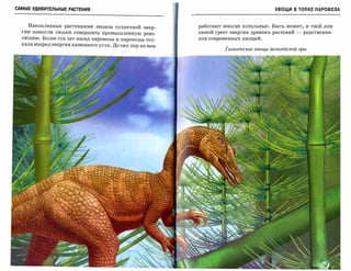 САМЫЕ УДИВИТЕЛЬНЫЕ РАСТЕНИЯ                                                            ХВОЩИ В ТОПКЕ ПАРОВОЗА



    Накопленные растениями запасы солнечной энер­         работают многие котельные. Быть может, и твой дом
  гии помогли людям совершить промышленную рево­          зимой греет энергия древних растений   -   родственни­
  люцию. Более ста лет назад паровозы и пароходы тол­     ков современных хвощей.
  кала вперед энергия каменного угля. До сих пор на нем
                                                                    Гигантские хвощи мезозойской эры
 
