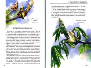 ОТКУДА ПОЯВЛЯЮТСЯ ЦВЕТКИ?



                                                               листья приобретают определенную форму        -   во мно­
                                                               гом пока нераскрытая тайна.
                                                                 Если разрезать крупную цветочную почку кашта­
                                                               на, в ней уже видны зачатки будущего цветка. Как
                                                               в маленькой почке закладывается такой сложно уст­
                                                               роенный орган размножения как цветок и как при
                                                               этом внутри ничего не перепутается   -   большая загад­
                                                               каприроды!

                                               Лопнувшие
                                                 nоч.ки                                                 Молодые листья
                                               каштана                                                     каштана




                  ОТКУДА ПОЯВЛЯЮТСЯ ЦВЕТКИ?


          Откуда на растениях появляются цветы? Как и
     листья, они созревают в почках. Как большие лепест­
     ки   помещаются   под   маленькими   почечными   чешуя­

     ми? Когда в почках образуются все части цветков?
          Весной растения должны спешить. Впереди у них
     много дел. Надо успеть накопить питательные вещест­
     ва для будущих семян и плодов. Поэтому почки, из ко­
     торых весной появляются листья и цветки, заклады­
     ваются у них заранее, в конце периода роста.

          Представить, как лист или цветок помещается в ма­
     ленькой почке, можно следующим образом. Возьмите
     тонкую бумагу и аккуратно скомкайте из нее малень­
     кий шарик. Теперь он занимает совсем немного места.
     Шарик можно снова развернуть, получив исходный
     лист. Примерно так под чешуями почек уложены мно­
     гие будущие листья.
          Подобный способ укладки хорошо виден на появля­
     ющихся рано весной из-под снега крупных листьях
     ревеня. Они похожи на скомканную и распрямляющу­
     юся бумагу.    Молодые листья ландышей скручены
     в трубочки, а распускающиеся листья папоротников
     завиты в спирали. Как при этом у каждого растения

22                                                                                                                        23
 