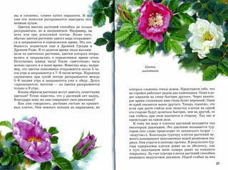 ны И сложены, словно купол парашюта. И вот
уже   эти    лепестки   раскрываются     навстречу   сол­

нечным лучам.

  Цветки многих растений способны не только
раскрываться, но и закрываться. Например, на
ночь или при дождливой погоде. Более того,
обычно цветки растения одного вида открывают­
ся и закрываются в определенное время. Эту осо­
бенность подметили еще в Древней Греции и
Древнем Риме. В то далекое время люди высажи­
вали на цветниках растения, цветки которых откры­

вались   и    закрывались   в   определенное   время    суток.

Получались живые часы! Такие              «цветочные»       часы
можно сделать и в наше время. Известно ведь, напри­
                                                                                  Цветы
мер, что цветки шиповника открываются около                 5   ча­
                                                                                 шиповника
сов утра и закрываются в        7-8   часов вечера. Корзинки
одуванчика при сухой погоде раскрываются между
5-6 часами утра и закрываются уже к обеду. Долго
«просыпаются» ноготки - их цветки раскрываются
только к 9 утра.                                                      которых сложены стены домов. Представьте себе, что
  Каким образом растения могут двигать лепестками                     на стройке работают рядом два каменщика. Один кла­
цветков? Точно известно, что у растений нет мышц.                     дет кирпичи на стену быстрее другого. Через некото­
Благодаря чему же они совершают свои движения?                        рое время сложенная ими стена будет неровноЙ. Один
  Как уже говорилось, растения состоят из крошеч­                     ее край окажется выше другого. Теперь понятно, что
ных клеток. Они немного похожи на кирпичики, из                       если при росте стебля или лепестка клетки на одной
                                                                      его стороне будут делиться быстрее, чем на другой, то
                                                                      сам стебель при этом изогнется в сторону. Так оно и
                                                                      происходит на самом деле.

                                                                          К тому же вода в клетках растений находится под
                                                                      некоторым давлением. Это давление называется тур­
                                                                      гором (это слово происходит от латинского       turgor ­
                                                                      «вздутие»). Благодаря тургору клетки растений не­
                                                                      много напоминают наполненные водой резиновые ша­
                                                                      рики. Они упруги и поэтому прочны. В результате тур­
                                                                      гора содержимое клетки давит на ее оболочку, как
                                                                      в   туго   накачанном   мяче   камера   давит на кожаную
                                                                      покрышку. За счет тургора клетки растений способны
                                                                      развивать нешуточное давление. Порой слабые на вид

                                                                                                                                 27
 