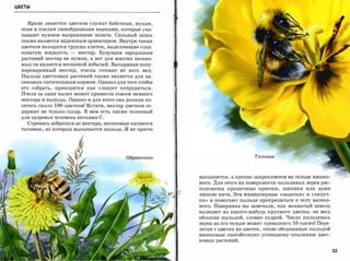 ЦВЕТЫ



    Яркие лепестки цветков служат бабочкам, мухам,
  осам и пчелам своеобразными маяками, которые ука­
  зывают нужное направление полета. Сильный запах
  также является надежным ориентиром. Внутри таких
  цветков находятся группы клеток, выделяющие слад­

  коватую жидкость       -   нектар. Будущим зародышам
  растений нектар не нужен, а вот для многих насеко­
  мых он является желанной добычей. Выпаривая полу­
  переваренный нектар,       пчелы готовят из него мед.
  Пыльца цветковых растений также является для на­
  ceKoMыx питательным кормом. Однако для того чтобы
  его собрать,   приходится как следует потрудиться.
  П чела за один вылет может принести совсем немного
  нектара и пыльцы. Однако и для этого она должна по­
  сетить около   100   цветков! Кстати, нектар цветков со­
  держит не только сахар. В нем есть также полезный
  для здоровья человека витамин С.
    Стремясь добратьсядо нектара, насекомые касаются
  тычинок, из которых высыпается пыльца. И не просто




                                               Одуванчuкu                          Тюльпан




                                                             высыпается, а прочно закрепляетсяна тельце насеко­

                                                             мого. Для этого на поверхности пыльцевых зерен рас­
                                                             положены крошечные крючки,       шипики или   даже

                                                             липкие нити. Эти миниатюрные «зацепки» И «липуч­
                                                             ки»   И помогают пыльце прикрепиться к телу насеко­

                                                             мого. Наверняка вы замечали, как мохнатый шмель
                                                             вылезает из какого-нибудь крупного цветка: он весь
                                                             обсыпан пыльцой, словно пудрой. Число пыльцевых
                                                             зерен на его тельце может превышать 10 тысяч! Пере­
                                                             летая с цветка на цветок, такие обсыпанные пыльцой
                                                             насекомые способствуют успешному опылению цвет­
                                                             ковых растений.


                                                                                                                   33
 