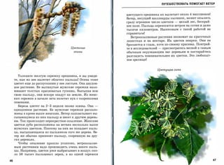 ПУТЕШЕСТВОВАТЬ ПОМОГАЕТ ВЕТЕР



                                                                 цветущего орешника их вылетает около       4   миллионов!
                                                                 Ветер, несущий миллиарды пылинок, может опылить
                                                                 сразу огромное число цветков     -   целый лес, бескрай­
                                                                 нее поле. Пыльца переносится ветром на сотни и даже
                                                                 тысячи километров. Насекомым с такой работой не
                                                                 справиться!
                                                                   Ветроопыляемые растения экономят на красочных
                                                                 лепестках и на нектаре. Их цветки неярки. Они не
                                                                 бросаются в глаза, хотя по-своему красивы. Поиграй­
                                             Цветение            те в исследователей   -   присмотритесь весной к самым
                                              осины              обычным окружающим вас деревьям и постарайтесь
                                                                 разглядеть повнимательнее их цветки. Это любопыт­
                                                                 ное зрелище!



                                                                                       Цветущая липа


          Толкните желтую сережку орешника, и вы увиди­
     те, как из нее вылетит облачко пыльцы! Осина тоже
     цветет еще до распускания у нее листьев. Она двудом­
     ное растение. Ее вытянутые мужские сережки напо­
     минают толстых красноватых гусениц. Высыпав всю
     свою пыльцу, они вскоре опадут на землю. Из женс­
     ких сережек в начале лета полетит пух с созревшими

     семенами.

          Береза цветет на   2-3   недели позже осины. Она   ­
     однодомное растение. Ее мужские сережки располо­
     жены в кроне выше женских. Ветер подхватывает вы­
     сыпающуюся из них пыльцу и несет к другим деревь­

     ям. Так происходит перекрестное опыление. Женские
     цветки дуба расположены на ветвях несколько выше
     мужских цветков. Поэтому на них не попадает пыль­
     ца, высыпающаяся из пыльников того же дерева. Ве­
     тер же обычно приносит пыльцу, созревшую на дру­
     гих деревьях.

          Чтобы опыление прошло успешно,        ветроопыляе­
     мым растениям надо производить очень много пыль­

     цы. Например, цветок ржи выбрасывает в воздух око­
     ло   50   тысяч пыльцевых зерен, а из одной сережки

46
 