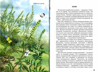 Амброзия в цвету


                                                     АПЧХИ!


                     Не для всех людей начало весны               -    праздник. У мно­
                   гих   в   это    время    года начинают       слезиться     глаза,   нос

                   и веки распухают, в ушах появляется зуд, а голова пос­

                   тоянно болит. Человек теряет силы, его все начинает
                   раздражать. В общем, кошмар! Причиной такого состо­
                   яния, которое часто называют сенной лихорадкой, яв­
                   ляется    ...   цветочная пыльца.

                     Как уже говорилось, пыльца ветроопыляемых рас­
                   тений легко переносится по воздуху. Это и немудрено,
                   ведь размеры таких пыльцевых зерен очень малы. Ес­
                   ли выкладывать            их в ряд,   то в одном сантиметре          мо­

                   жет   уместиться          несколько   сотен    штук    таких   зерны­

                   шек. Каждое растение во время цветения про изводит
                   огромное         количество     пыльцы.     Достаточно       сказать,
                   что только одно растение амброзии ежедневно выбра­
                   сывает      в    воздух   около   миллиона         пыльцевых    зерен.

                   А сколько таких зерен производит целое поле цвету­
                   щей амброзии         -    и подсчитать невозможно!
                     Весной пыльца словно пыль витает в воздухе и мо­
                   жет   переноситься          ветром    на   огромные     расстояния.

                   Например, пыльца растений,                  цветущих в Южной
                   Америке, может перелететь через океан и осесть на
                   территории Европы или Антарктиды. Немудрено, что
                   пыльца растений, которые цветут весной поблизости
                   с жилищами человека, легко попадает вместе с возду­

                   хом в нос!
                     Для носа же человека пыльца растений                  -   не просто
                   пыль, от которой чихают. Это чужеродные клетки,
                   враги, которые якобы стремятся про никнуть в наш ор­
                   ганизм.         Вот тело человека и реагирует на пыльцу
                   столь болезненным образом. Поскольку же весной
                   пыльца повсюду в воздухе, спасенье от этой напасти
                   найти трудно. Некоторые люди на время цветения на­
                   иболее опасных для них «поставщиков пыльцы» даже
                   уезжают подальше            -   например, в горы, или ложатся

                   в клиники,         воздух в которые поступает через специ­



                                                                                              49
 