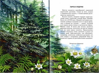 ПАРУСА И лодочки

  Цветок является своеобразной        «визитной
карточкой»    растения. Глядя на него, можно
с уверенностью сказать, с каким именно расте­

нием мы имеем дело.

  Кстати сказать, впервые порядок среди рас­
тений навел шведский ученый Карл Линней.
Было это в   XVHI   веке. Линней стал давать рас­
тениям двойные названия (что-то вроде фами­
лии и имени) на латыни       -   языке, который
в его время знали ученые и изучали все образо­
ванные люди. В наши дни латынь является
мертвым языком, поскольку на нем не говорит

уже ни один народ планеты.         Предложение
Линнея оказалось очень удачным и дошло до
наших дней. Действительно, как объяснить,
например, японскому любителю растений, что
речь пойдет о ветренице дубравной? Ведь на
языке его страны это растение может называть­




              Ветреница дубравная
 