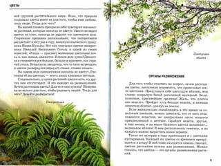ЦВЕТЫ



  ней группой растительного мира. Ясно, что природа
  создавала цветы вовсе не для того, чтобы ими любова­
  лись люди. Тогда для чего?
    На нашей планете прекрасно себя чувствуют множест­
  во растений, которые никогда не цветут. Никто не видел
  цветов на елке, никогда не радуют нас цветением мхи.

  Старинные предания рассказывают, что папоротники
  расцветают в лесу раз в году, накануне языческого празд­

  ника Ивана Купалы. Вот как описывал цветок папорот­
  ника Николай Васильевич Гоголь в одной из своих
  повестей: «Глядь   -   краснеет маленькая цветочная поч­                                                        Цветущая
  ка и, как живая, движется. В самом деле чудно! Движет­                                                           яблоня
  ся и становится все больше, больше и краснеет, как горя­
  чий уголь. Вспыхнула звездочка, что-то тихо затрещало,
  и цветок развернулся перед его очами, словно пламя».

    На самом деле папоротники никогда не цветут. Рас­
  сказы об их цветках     -   всего лишь красивая легенда.                  ОРГАНЫ РАЗМНОЖЕНИЯ
    Следовательно, у одних растений цветки есть, а у дру­
  гих они отсутствуют. И это наводит на размышления.           Для того чтобы ответить на вопрос, зачем растени­
  Зачем растениям цветы? Для чего они нужны? Наверня­        ям цветы, достаточно вспомнить, что происходит пос­
  ка не только для того, чтобы радовать людей. Тогда для     ле цветения. Представьте себе цветущую яблоню, всю
  чего? Давайте разбираться!                                 словно покрытую белой роскошной накидкой. Вели­
                                                             колепное, красивейшее зрелище! Жаль, что длится
                          паnоротншс                         оно недолго. Пройдет чуть больше недели, и нежные
                                                             лепестки облетят, упадут на землю.
                                                               Если внимательно понаблюдать в это время за от­
                                                             дельным цветком, можно заметить, что от него отва­
                                                             ливаются   лепестки,      но   центральная   часть   остается

                                                             прикрепленной к веточке. Пройдет неделя, другая,
                                                             и еще месяц, и на месте бывшего цветка возникнет ...
                                                             маленькое яблоко! В нем расположены семечки, и из
                                                             каждого можно вырастить новое деревце.

                                                               Такая же история в саду происходит и с цветками
                                                             кустарников. Каждый их цветок со временем превра­
                                                             щается в ягоду! В ней тоже находятся семена. Значит,
                                                             цветки растениям      нужны     для размножения.      Можно
                                                             сказать, что цветки   -   это органы размножения расте­
                                                             ний.


                                                                                                                             5
 