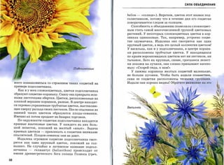 СИЛА ОБЪЕДИНЕНИЯ



                                                                helios -    «солнце»). Впрочем, цветок этот назван под­
                                                                солнечником, потому что в течение дня его соцветие

                                                                поворачивается следом за солнцем.

                                                                  Способность к объединению позволила сложноцвет­
                                                                ным стать самой многочисленной группой цветковых
                                                                растений. У некоторых сложноцветных цветки в кор­
                                                                зинках одинаковые. Так, например, устроено соцве­
                                                                тие одуванчика. Издалека оно смотрится как один
                                                                крупный цветок, а ведь это целый коллектив цветков!
                                                                у василька, как и у подсолнечника, в центре корзин­
                                                                ки расположены трубчатые цветки. У находящихся
                                                                по краям воронковидных цветков нет ни пестиков, ни

                                                                тычинок. Зато их крупные, синие, сросшиеся лепест­
                                                                ки похожи на лучики, они словно призывают насеко­

                                              подСОJlнеч.нu1С   мых: (,Скорей сюда, к нам!»
                                                                   у пижмы корзинки желтых соцветий маленькие,
                                                                не больше пуговки. Чтобы быть издали позаметнее,
                                                                сами   ее   соцветия   расположены   тесными   группами.

     всего познакомиться со строением таких соцветий на         Издали они хорошо видны! Обратите внимание на это
     примере подсолнечника.

       Как и у всех сложноцветных, цветки подсолнечника
     образуют соцветие-корзинку. Снизу она прикрыта зеле­
     ными листочками обертки. Цветки, раСПОложенные на
     плоской вершине корзинки, разные. В центре находят­
     ся скромно украшенные трубчатые цветки, выставляю­
     щие кверху рыльца своих пестиков. После опыления из
     завязей таких цветков образуются плоды-семянки.
     Именно их потом продают на базарах торговки.
       По окружности соцветия подсолнечника находятся
     краевые язычковые цветки. У каждого из них боль­
     шой лепесток, похожий на желтый «язык». Задача
     краевых цветков   -   привлека ть к соцветию внимание
     опылителей. Плодов-семянок они не дают.
       Издалека огромное соцветие подсолнечника смот­
     рится как один крупный цветок, похожий на сол­
     нышко. Не случайно и латинское название подсол­
     нечника   -   гелиантус   (helianthus)   происходит от
     имени древнегреческого бога солнца Гелиоса (греч.

58
 