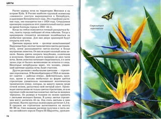 ЦВЕТЫ



       Растет царица ночи на территории Мексики и на
     острове Куба. В России наиболее крупный экземпляр
                                                                                  .~
                                                                                 ~
     «змеиного»        кактуса   выращивается        в    Петербурге,
     в оранжерее Ботанического сада. Это старейшее расте­
     ние сада, оно находится там с      1824   года. Сотрудники
     оранжереи сохранили этот удивительныйкактус даже
                                                                        Сmрелumцuя
     во время блокады города в      1941-44    гг.
                                                                        королевская
       Когда на стебле появляется готовый раскрыться бу­
     тон, газеты города сообщают об этом событии. Тогда к
     оранжереям стекаются желающие полюбоваться на
     необычное зрелище. Для них двери оранжерей будут
     открыты всю ночь.

       Цветение царицы ночи        -   зрелище захватывающее!
     Наружные буро-желтые чашелистики цветка раскрыва­
     ются, затем распахиваются светло-желтые и белые
     внутренние лепестки. От них исходит сильный запах ва­
     нили. Завязь цветка покрыта чешуйками, колючками
     и волосками. Цветение длится примерно до двух часов
     ночи. Затем лепестки начинают сворачиваться, и к пяти
     часам утра от былого великолепия не остается и следа.
     Некоторые петербуржцы верят, что человек, увидев­
     ший цветение царицы ночи, будет счастлив.
       Другое растение с необычными цветками          - стрелит­
     ция королевская. В Великобритании и         CIIlA ее называ­
     ют <<Цветок   -    райская птица». Действительно, круп­
     ные, яркие и весьма необычные по форме цветки
     стрелитции    удивительно      напоминают           экзотическую

     тропическую птицу, которая, на минуту присев среди

     сочной зелени, распустила свой пестрый хвост. Произ­
     водят впечатление не только цветки стрелитции, но и ее

     крупные слабо волнистые кожистые листья на мощных
     черешках. По размеру и толщине их можно сравнить
     с листьями молодого банана. В длину листья стрелит­
     ции могут достигать 45 см'. Под стать листьям и само
     растение. Высота крупных экземпляров достигает 1,5 м.
     В среднем же стрелитция вытягивается на высоту
     80-90   см. Свое название растение получило в честь же­
     ны английского короля Георга III Шарлотты, урожден­


74
 