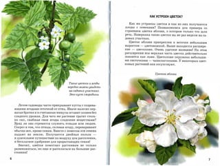 КАК УСТРОЕН ЦВЕТОК?

                                                                 Как же устроены цветки и как из них получаются
                                                               плоды с семенами? Познакомимся для примера со
                                                               строением цветка яблони, о котором ТОЛЬКО что шла
                                                               речь. Наверняка такие цветки вы не раз видели на са­
                                                               довых участках.

                                                                 Цветок яблони прикреплен к веточке небольшим
                                                               выростом    -   цветоножкой. Выше находится расшире­
                                                               ние   -   цветоложе. Очень удачное название! На этом
                                                               расширении вся верхняя часть цветка действительно
                                                               покоится как ложе. Цветоложе окружено небольши­
                                                               ми листочками     -    чашелистиками. У некоторых цвет­
                                                               ковых растений они отсутствуют.



                                                                                        Цветок яблоnи



                                      Такие цветки и ягоды
                                      перед ко можnо увидеть
                                      па садовых участках.
                                       Это куст смородиnы



      Летом садоводы часто прикрывают кусты с созрева­
    ющими ягодами сеточкой от птиц. Иначе налетит пер­
    натая братия и в считанные минуты оставит хозяев без
    сладкого урожая. Для чего же растение тратит столь­
    ко сил, снабжая свои ягоды сладкими веществами?
    Вряд ли оно стремится служить птицам или людям.
    Секрет в том, ЧТО птицы, склевав ягоду, переваривают
    обычно все, кроме семян. Вместе с пометом эти семена
    падают на землю.    Получается двойная польза      ­
    и длительное путешествие по воздуху для расселения,

    и бесплатное У'fобрение для прорастающих семян!
      Значит,   цветки помогают растениям не только
    размножаться,! но еще и расселяться на большие рас­
    стояния!

6
 