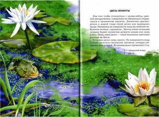 ЦВЕТЫ -ЛИЛИПУТЫ


     Для того чтобы столкнуться с каким-нибудь цвет­
   ком-рекордсменом, совершенно не обязательно отправ­
   ляться в тропические джунгли. Достаточно присмот­
   реться к водной глади тихой речки или маленького
   пруда. Наверняка на поверхности воды вы заметите не­
   большие зеленые «крапинки». Иногда этими зелеными
   точками бывает полностью затянута канава или лужа
   в лесу. Перед вами ряска   -   самое маленькое цветковое
   растение на Земле.
      Устроена ряска очень просто. На поверхности воды
   ПJIаВае')' ~есколько маленьких листиков, которые сое­
'-~~eSЬt между собой. Их размер редко превышает 1 см.

                                     1-   "увШU1-uса белая;
                                    2-    р.яс"а
 