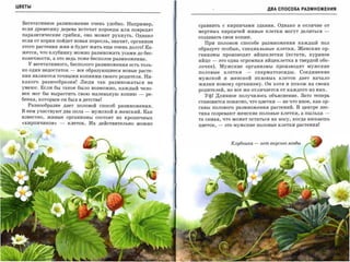 ЦВЕТЫ
                                                                                                  ДВА СПОСОБА РАЗМНОЖЕНИЯ



  Вегетативное размножение очень удобно. Например,
                                                               сравнить с кирпичами здания. Однако в отличие от
  если древесину дерева источат короеды или повредят
                                                               мертвых кирпичей живые клетки могут делиться               ­
  паразитические грибки, оно может рухнуть. Однако
                                                               создавать свои копии.
  если от корня пойдет новая поросль, значит, организм
                                                                 При половом способе размножения каждый пол
  этого растения жив и будет жить еще очень долго! Ка­
                                                               образует особые, специальные клетки. Женские ор­
  жется, что клубнику можно размножать усами до бес­           ганизмы производят яйцеклетки (кстати, куриное
  конечности, а это ведь тоже бесполое размножение.
                                                               яйцо   -   это одна огромная яйцеклетка в твердой обо­
    у вегетативного, бесполого размножения есть толь­          лочке).    Мужские организмы          производят мужские
  ко один недостаток   -   все образующиеся новые расте­
                                                               половые        клетки   -   сперматозоиды.       Соединение
  ния являются точными копиями своего родителя. Ни­
                                                               мужской и женской           половых клеток дает начало
  какого разнообразия! Люди так размножаться не                жизни новому организму. Он хотя и похож на своих
  умеют. Если бы такое было возможно, каждый чело­
                                                               родителей, но все же отличается от каждого из них.
  век мог бы вырастить свою маленькую копию          -   ре­     Уф! Длинное получилось объяснение. Зато теперь
  бенка, которым он был в детстве!                             становится понятно, что цветки        -   не что иное, как ор­
     Разнообразие дает половой способ размножения.             ганы полового размножения растений. В центре пес­
  В нем участвуют два пола - мужской и женский. Как            тика созревают женские половые клетки, а пыльца             ­
  известно,   живые   организмы   состоят   из   крошечных
                                                               та самая, что может остаться на носу, когда нюхаешь
  «кирпичиков»   -    клеток. Их действительно можно           цветок,    -   это мужские половые клетки растения!



                                                                                Клубнuка   -   нет вкуснее ягоды
 