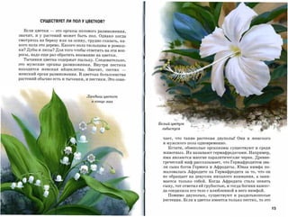 СУЩЕСТВУЕТ ли пол У ЦВЕТКОВ?

  Если цветки   -   это органы полового размножения,
значит, и у растений может быть пол. Однако когда
смотришь на березу или на осину, трудно сказать, ка­
кого пола это дерево. Какого пола тюльпаны и ромаш­
ки? Дубы и липы? Для того чтобы ответить на эти воп­
росы, надо еще раз обратить внимание на цветки.
  Тычинки цветка содержат пыльцу. Следовательно,
это мужские органы размножения. Внутри пестика
находится женская яйцеклетка. Значит,      пестик   ­
женский орган размножения. В цветках большинства
растений обычно есть и тычинки, и пестики. Это озна­




                                  Ландыш цветет
                                    в конце .мая




                                                                ",.}~


                                                        Белый цвещо1С
                                                          гuБUС1Суса


                                                          чает, что такие растения двуполы! Они и женского
                                                          и мужского пола одновременно.

                                                             Кстати, обоеполые организмы существуют и среди
                                                          животных. Их называют гермафродитами.Например,
                                                          ими являются многие паразитическиечерви. Древне­
                                                          греческий миф рассказывает, что Гермафродитомзва­
                                                          ли сына богов Гермеса и Афродиты. Юная нимфа по­

                                              "
                                              'u          жаловалась Афродите на Гермафродита за то, что он
                                                          не обращает на девушек никакого внимания, а зани­
                                                          мается только собой . Когда Афродита стала пенять
                                                          сыну, тот ответил ей грубостью, и тогда богиня навсег­
                                                          да соединила его тело с влюбленной в него нимфой.
                                                             Помимо двуполых, существуют и раздельнополые
                                                          растения. Если в цветке имеется только пестик, то это

                                                                                                                   15
 