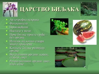 ЦАРСТВО БИЉАКА Аутотрофна исхрана Фотосинтеза Произвођачи Настале у води Прве биљке просте грађе – без органа Излазак на копно ствара многе проблеме Копнене биљке развијају органе Вегетативни органи: корен, стабло, лист Репродуктивни органи: цвет, плод семе 