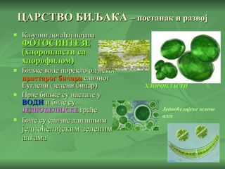 ЦАРСТВО БИЉАКА   – постанак и развој Кључни догађај појава  ФОТОСИНТЕЗЕ  (хлоропласти са хлорофилом) Биљке воде порекло од неког  прастарог бичара  сличног Еуглени (зелени бичар) Прве биљке су настале у  ВОДИ  и биле су   ЈЕДНОЋЕЛИЈСКЕ  грађе Биле су сличне данашњим   једноћелијским зеленим алгама ХЛОРОПЛАСТИ Једноћелијске   зелене алге 