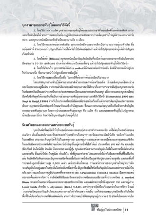 บุกสามารถขยายพันธุได้หลายวิธดงนี้
                  ์         ี ั
            1. โดยวิธการเพาะเมล็ด บุกสามารถขยายพันธุได้เองตามธรรมชาติ โดยเมล็ดทีรวงหล่นลงดินสามารถ
                        ี                                         ์                          ่่
งอกเป็นต้นใหม่ได้ จากการทดสอบในห้องปฏิบตการและภาคสนาม พบว่าเมล็ดบุกส่วนใหญ่มความงอกมากกว่า
                                              ัิ                                                 ี
90% และบุกบางชนิดมีระยะพักตัวเป็นเวลานานถึง 4 เดือน
            2. โดยวิธการแตกหน่อจากหัวเดิม บุกบางชนิดมีหน่อขนาดเล็กเป็นจำนวนมากอยูบนหัวเดิม ซึง
                            ี                                                                          ่         ่
หน่อเหล่านี้ สามารถแยกไปปลูกเป็นต้นใหม่ได้หรือใช้วธตดแบ่งหัวเก่า แล้วนำไปปลูกขยายพันธุแต่มกมีปญหา
                                                               ิี ั                                      ์ ั ั
เรืองหัวเน่า
  ่
            3. โดยใช้เหง้า (Rhizome) บุกบางชนิดเมือเจริญเติบโตเต็มทีจะมีเหง้าแตกออกมาจากหัวเดิมโดยรอบ
                                                          ่                    ่
มีความยาว 10-30 เซนติเมตร นำเหง้ามาตัดแบ่งเป็นท่อนสันๆ แล้วนำไปปลูกขยายพันธุได้อกวิธหนึง
                                                                    ้                           ์ ี ี ่
            4. โดยใช้หวบนใบ บุกบางชนิดได้แก่ A. mulleri มีลกษณะเด่นกว่าชนิดอืน คือมีหวขนาดเล็กอยูบน
                              ั                                         ั                ่         ั           ่
ใบจำนวนหนึง ซึงสามารถนำไปปลูกเพือขยายพันธุได้
              ่ ่                        ่              ์
            5. โดยวิธการเพาะเลียงเนือเยือ ในกรณีทตองการต้นอ่อนในปริมาณมาก
                          ี           ้ ้ ่                 ่ี ้
            โดยปกติบุกขยายพันธุ์ได้ตามธรรมชาติด้วยการแตกหน่อหรือเมล็ด เมื่อเมล็ดบุกแก่จัดจะร่วง
กระจัดกระจายลงสูพนดิน จากการเฝ้าสังเกตของนักพฤกษศาสตร์ทศกษาเรืองการกระจายพันธุของบุกรายงานว่า
                   ่ ้ื                                                   ่ี ึ      ่                ์
ในประเทศอินเดียและประเทศอืนบางประเทศพบนกเงือกและนกกางเขนกินผลบุก เนืองจากผลของบุกส่วนใหญ่
                                    ่                                                      ่
มีสดใสจึงดึงดูดให้นกมากินซึงเป็นการช่วยกระจายพันธุบกตามธรรมชาติอกวิธหนึง (Hetterscheid,1995 และ
                                ่                             ์ ุ                  ี ี ่
Singh & Gadgil,1996) สำหรับในประเทศไทยยังไม่เคยมีรายงานในเรืองนี้ แต่จากการสังเกตุในแปลงรวบรวม
                                                                                 ่
ตัวอย่างบุกพบว่ามีนกปรอดหัวโขนมากินผลซึงกำลังสุกแดง ซึงนอกจากนกแล้วมนุษย์ยงเป็นตัวการสำคัญใน
                                            ่                         ่                       ั
การกระจายพันธุของบุก โดยการนำส่วนขยายพันธุของบุก คือ เมล็ด หัว และส่วนขยายพันธุอ่นไปปลูกตาม
                 ์                                    ์                                                ์ื
บ้านเรือนและไร่นา จึงทำให้มบกเจริญเติบโตอยูทวไป
                                  ี ุ            ่ ่ั

นิเวศวิทยาและเขตการแพร่กระจายพันธุ์
            บุกเป็นพืชทีพบได้ทวไปในเขตร้อนและเขตอบอุนของอาฟริกาและเอเซีย แต่ไม่พบในเขตร้อนของ
                        ่           ่ั                      ่
อเมริกา เริ่มตั้งแต่บริเวณตะวันตกของทวีปอาฟริกาเรื่อยมาทางตะวันออกของโพลีนีเซีย จนถึงทวีปเอเซีย
ในอาฟริกา สามารถเห็นบุกได้ทั่วไปในเขตทุ่งราบ และหมู่เกาะบางแห่งทางตอนใต้ของมหาสุมทรแปซิฟิก
ในเอเซียมีหลายประเทศทีสำรวจแล้วพบว่ายังมีบกขึนอยูตามป่าทัวไป ได้แก่ ประเทศไทย ลาว พม่า จีน มาเลเซีย
                          ่                      ุ ้ ่          ่
ฟิลปปินส์ อินโดนีเซีย อินเดีย บังคลาเทศ และญีปน บุกแต่ละชนิดสามารถเจริญเติบโตได้ในสภาพพืนทีคอนข้าง
    ิ                                             ่ ุ่                                       ้ ่่
แตกต่างกัน ตังแต่ปาโปร่ง ในทุงโล่ง ป่าผลัดใบ ป่าทีถกเผาทำลาย โดยเฉพาะป่าไผ่ หรือในสภาพพืนทีซงเป็นหิน
               ้ ่              ่                      ู่                                  ้ ่ ่ึ
เช่น หินอัคนีหรือหินดานและมีบกหลายชนิดทีชอบขึนในสภาพป่าซึงเป็นภูเขาหินปูน บนหน้าผาสูงชัน และบนพืนที่
                                  ุ           ่ ้                 ่                                 ้
ราบจนถึงภูเขาซึ่งมีความสูง 3,000 เมตร เหนือระดับน้ำทะเล การแพร่กระจายของบุกส่วนใหญ่พบว่ามัก
จะเจริญเติบโตอยูเฉพาะในท้องถินใดท้องถินหนึงเท่านัน มีบกเพียงไม่กชนิดทีเ่ จริญเติบโตและแพร่กระจายได้เป็น
                  ่                    ่     ่ ่        ้ ุ           ่ี
บริเวณกว้างและในสภาพภูมประเทศทีหลากหลาย เช่น A.Paeoniifolius (Dennst.) Nicolson มีเขตการแพร่
                              ิ            ่
กระจายตังแต่มาดากัสการ์ จนถึงโพลีนเซียและอีกหลายประเทศในแถบเอเซียรวมทังประเทศไทย A. muelleri
          ้                              ี                                      ้
Blume พบมากในภาคเหนือและภาคกลางของประเทศไทย และแพร่กระจายไปถึงสุมาตรา ชวา และหมูเกาะ              ่
Lesser Sunda สำหรับ A. abyssinicus (Rich.) N.E.Br. แพร่กระจายได้เป็นบริเวณกว้างในอาฟริกา ถึงแม้
ว่าบุกส่วนใหญ่จะเจริญเติบโตและแพร่กระจายได้จำกัดเฉพาะท้องถิน แต่กสามารถพบบุกชนิดเดียวกันได้ใน
                                                                    ่      ็
พืนทีใกล้เคียงหรือประเทศทีมเี ขตติดต่อกัน จากการสำรวจพบว่ามีพชสกุลบุกอยูประมาณ 170 ชนิดทัวโลก และพบใน
  ้ ่                       ่                                 ื          ่               ่


                                                                            พันธุบกในประเทศไทย 14
                                                                                 ์ ุ
 
