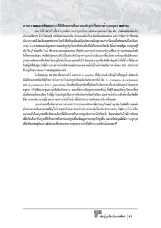 การตลาดและชนิดของบุกทีมศกยภาพในการแปรรูปเป็นการค้าและอุตสาหกรรม
                      ่ ี ั
            ขณะนี้มีโรงงานรับซื้อหัวบุกเพื่อการแปรรูปเป็นการค้าและอุตสาหกรรม คือ บริษัทสหชลผลพืช
อำเภอศรีราชา จังหวัดชลบุรี บริษทสยามคอนยัค อำเภอแม่สะเรียง จังหวัดแม่ฮองสอน และบริษทอาหารชีวภาพ
                                   ั                                               ่                ั
อำเภอบางพลี จังหวัดสมุทรปราการ โดยรับซือหัวบุกตังแต่เดือนสิงหาคมถึงตุลาคม ราคาโดยเฉลียประมาณกิโลกรัมละ
                                                  ้     ้                                        ่
3.00-5.50 บาท และมีอตสาหกรรมแปรรูปบุกในระดับท้องถินทัวไปในหลายจังหวัด ได้แก่ นครปฐม กาญจนบุรี
                              ุ                                    ่ ่
ปราจีนบุรี น่านเชียงใหม่ เชียงราย และแม่ฮองสอน ปัจจุบน นอกจากนำบุกมาแปรรูปเป็นอาหารและขนมแล้วยัง
                                                    ่            ั
ได้รบความนิยมนำต้นไปปลูกและเป็นไม้ใบประดับในอาคารและบ้านเรือนมากขึนเนืองจากต้นและใบมีลกษณะ
       ั                                                                               ้ ่                     ั
รูปทรงแปลกตา เป็นทีสนใจของผูรกต้นไม้และบุคคลทัวไป โดยเฉพาะบุกเป็นพืชทีเจริญเติบโตได้ดในทีมรมเงา
                            ่          ้ั                      ่                          ่             ี ่ ี่
จึงมีผนำไปปลูกเป็นไม้กระถางจำหน่ายทีสวนจตุจกรและตลาดต้นไม้ในต่างจังหวัด ราคาต้นละ 200-300 บาท
         ู้                                    ่      ั
ขึนอยูกบขนาดและความสมบูรณ์ของต้น
  ้ ่ั
            ในจำนวนบุก 10 ชนิด ทีรวบรวมไว้ นอกจาก A. muelleri ซึงโรงงานส่วนใหญ่รบซืออยูแล้ว ยังพบว่า
                                          ่                                 ่                   ั ้ ่
ยังมีอกหลายชนิดทีมศกยภาพในการนำไปแปรรูปเป็นผลิตภัณฑ์อาหารได้ คือ A. corrugatus A. kachinensis
          ี          ่ ี ั
และ A. yunnanensis ส่วน A. paeoniifolius ในอดีตเป็นบุกชนิดทีไม่นยมรับประทาน เนืองจากลักษณะลำต้นหยาบ
                                                                      ่ ิ                    ่
ขรุขระ หรือมีหนามทูและเส้นใยในหัวหยาบ ขณะนีพบว่ามีอยูหลายสายพันธุ์ ซึงมีผวของลำต้นเรียบเกลียง
                          ่                                  ้         ่                    ่ ิ                  ้
เส้นใยค่อนข้างละเอียด จึงมีผนำไปแปรรูปเป็นอาหารรับประทานในครัวเรือน และจำหน่ายในระดับท้องถินเพิมขึน
                                ู้                                                                           ่ ่ ้
ซึงจากการสอบถามผูขายสามารถทำรายได้ในช่วงสันถึงประมาณเดือนละหนึงหมืนบาท
   ่                    ้                                  ้                      ่ ่
            บุกนอกจากเป็นพืชหายากควรค่าแก่การรวบรวมและศึกษาเพือการอนุรกษ์แล้ว บุกยังเป็นพืชทีทรงคุณค่า
                                                                          ่          ั                   ่
ด้านอาหารเพื่อสุขภาพที่มีผู้ให้ความสนใจและนิยมรับประทานเพิ่มขึ้นเป็นจำนวนมาก จึงมีแนวโน้มว่าใน
อนาคตอันใกล้บกจะเป็นพืชทางเลือกทีมศกยภาพในการปลูกเชิงการค้าอีกพืชหนึง จึงควรส่งเสริมให้มการศึกษา
                ุ                           ่ ี ั                                       ่                  ี
เพือคัดเลือกพันธุบกทีมศกยภาพในการแปรรูปเพือเพิมมูลค่าของบุกให้สงขึน และสนับสนุนให้มการปลูกบุก
     ่             ์ ุ ่ ี ั                              ่ ่                 ู ้                     ี
เป็นพืชเศรษฐกิจอย่างมีระบบเพือทดแทนการขุดบุกจากป่าซึงมีจำนวนเหลือน้อยลงทุกที
                                     ่                              ่




                                                                            พันธุบกในประเทศไทย 49
                                                                                 ์ ุ
 