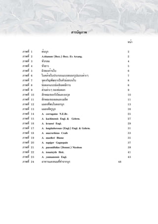 สารบัญภาพ

                                                              หน้า

ภาพที่   1    ต้นบุก                                          2
ภาพที่   2    A.titanum (Becc.) Becc. Ex Arcang.              2
ภาพที่   3    หัวกลม                                          4
ภาพที่   4    หัวยาว                                          5
ภาพที่   5    ผิวของก้านใบ                                    6
ภาพที่   6    ใบคล้ายใบประกอบแบบขนนกรูปแบบต่างๆ               7
ภาพที่   7    จุดเจริญพัฒนาเป็นหัวย่อยบนใบ                    8
ภาพที่   8    ช่อดอกแบบช่อเชิงลดมีกาบ                         8
ภาพที่   9    ส่วนต่างๆ ของช่อดอก                             9
ภาพที่   10   ลักษณะของรังไข่และออวุล                         10
ภาพที่   11   ลักษณะของผลและเมล็ด                             11
ภาพที่   12   แมลงทีพบในดอกบุก
                      ่                                       13
ภาพที่   13   แมลงศัตรูบกุ                                    16
ภาพที่   14   A. corrugatus N.E.Br.                           25
ภาพที่   15   A. kachinensis Engl. & Gehrm.                   27
ภาพที่   16   A. krausei Engl.                                29
ภาพที่   17   A. longituberosus (Engl.) Engl. & Gehrm.        31
ภาพที่   18   A. macrorhizus Craib                            33
ภาพที่   19   A. muelleri Blume                               35
ภาพที่   20   A. napiger Gagnepain                            37
ภาพที่   21   A. paeoniifolius (Dennst.) Nicolson             39
ภาพที่   22   A. tenuistylis Hett.                            41
ภาพที่   23   A. yunnanensis Engl.                            43
ภาพที่   24   อาหารและขนมทีทำจากบุก
                              ่                          48
 