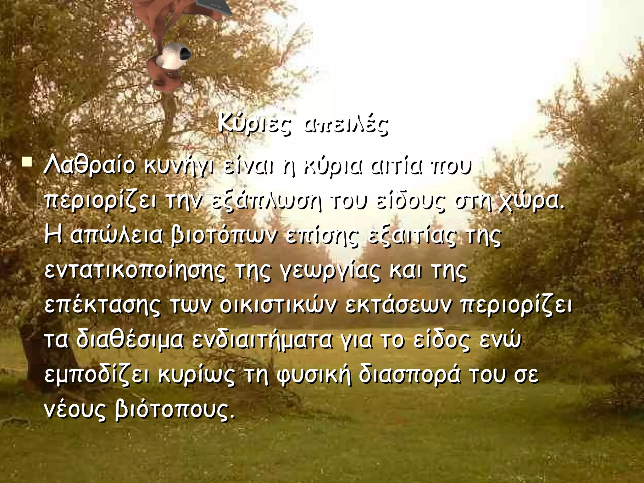 Κύριες απειλές Λαθραίο κυνήγι είναι η κύρια αιτία που περιορίζει την εξάπλωση του είδους στη χώρα. Η απώλεια βιοτόπων επίσης εξαιτίας της εντατικοποίησης της γεωργίας και της επέκτασης των οικιστικών εκτάσεων περιορίζει τα διαθέσιμα ενδιαιτήματα για το είδος ενώ εμποδίζει κυρίως τη φυσική διασπορά του σε νέους βιότοπους.   