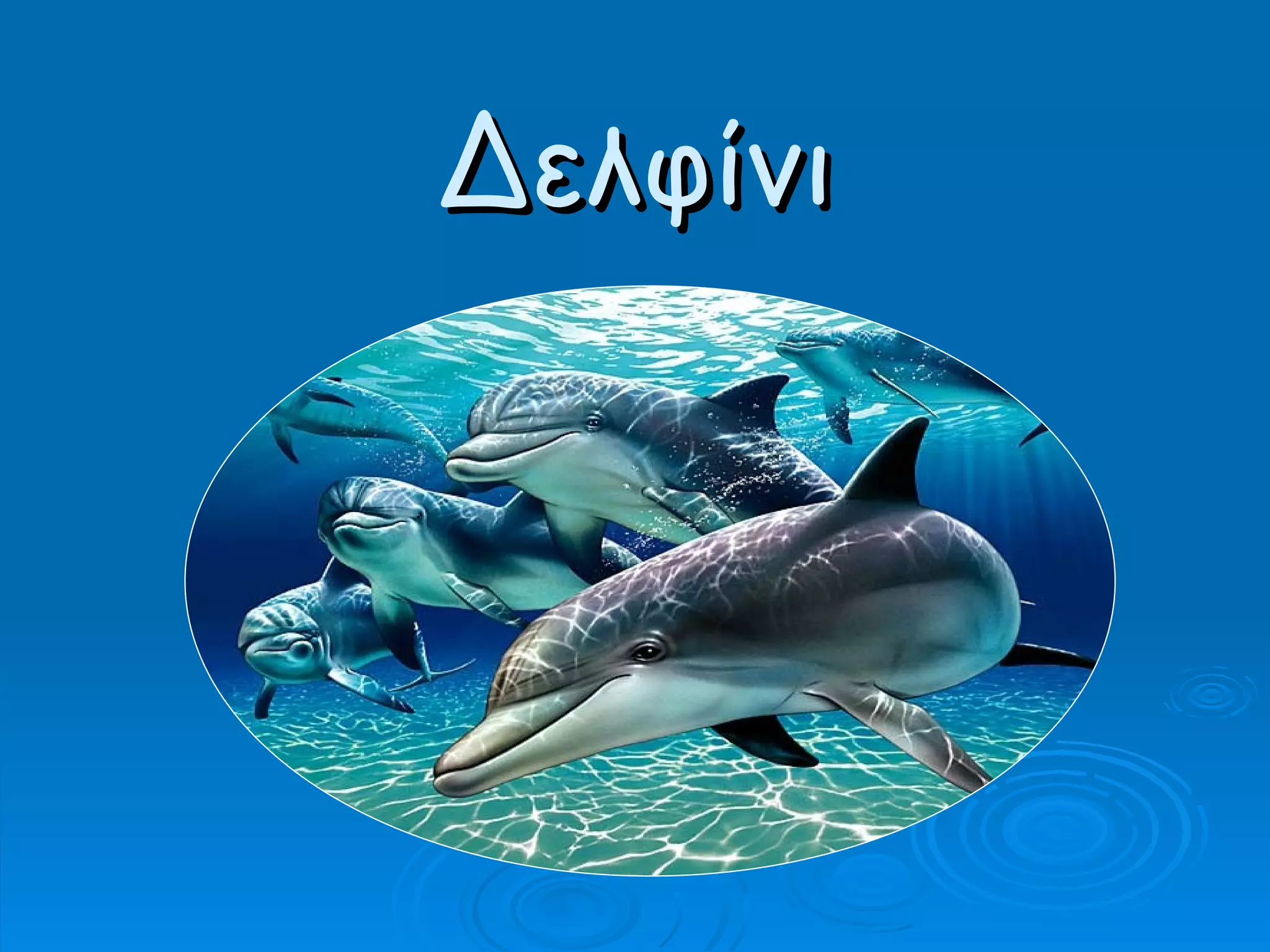 Δελφίνι 