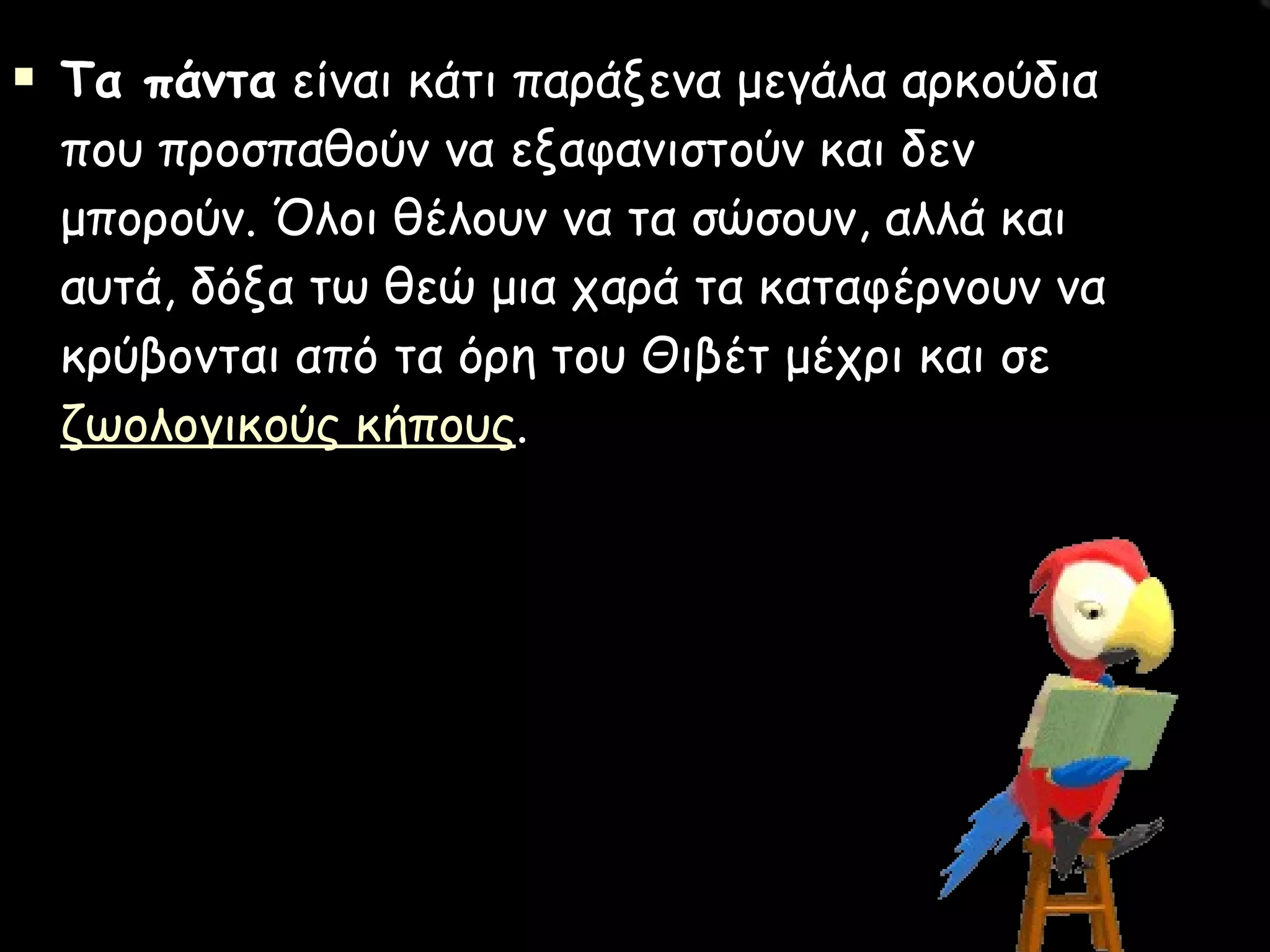 Τα πάντα  είναι κάτι παράξενα μεγάλα αρκούδια που προσπαθούν να εξαφανιστούν και δεν μπορούν. Όλοι θέλουν να τα σώσουν, αλλά και αυτά, δόξα τω θεώ μια χαρά τα καταφέρνουν να κρύβονται από τα όρη του Θιβέτ μέχρι και σε  ζωολογικούς κήπους .     