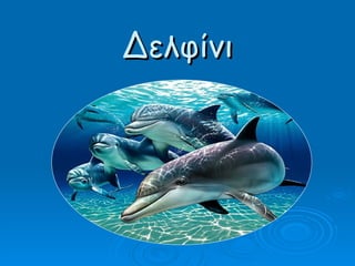 Δελφίνι 