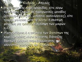 Κίνδυνοι  - Απειλές  Η φόνευση της καφέ αρκούδας, είτε λόγω πρόκλησης ζημιών σε παραγωγικές μονάδες (κτηνοτροφικά ζώα, μελίσσια, καλλιέργειες), είτε τυχαία φόνευση κατά το  κυνήγι  ή σκόπιμη φόνευση για  τρόπαιο  ή σύλληψη των μικρών κ.λ.π. Η υποβάθμιση ή η απώλεια των  βιοτόπων  της καφέ αρκούδας λόγω αλόγιστης διάνοιξης δασικών δρόμων, απρογραμμάτιστης και αλόγιστης  υλοτομίας  και  πυρκαγιών . 