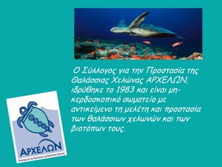 Ο ΢ύιιογος γηα ηεκ Προζηαζία ηες
Θαιάζζηας Υειώκας ΑΡΥΓΘΩΚ,
ηδρύζεθε ηο 1983 θαη είκαη με-
θερδοζθοπηθό ζωμαηείο με
ακηηθείμεκο ηε μειέηε θαη προζηαζία
ηωκ ζαιάζζηωκ τειωκώκ θαη ηωκ
βηοηόπωκ ηοσς.
 