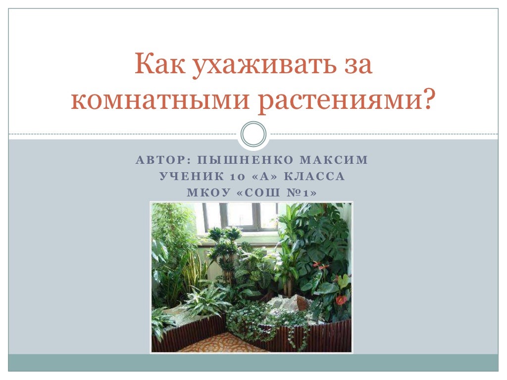 памятка по уходу за комнатными цветами. комнатные растения презент. как ухаживать за комнатными растениями презентация. как ухаживать за комнатными растениями презентация. как ухаживать за комнатными растениями.