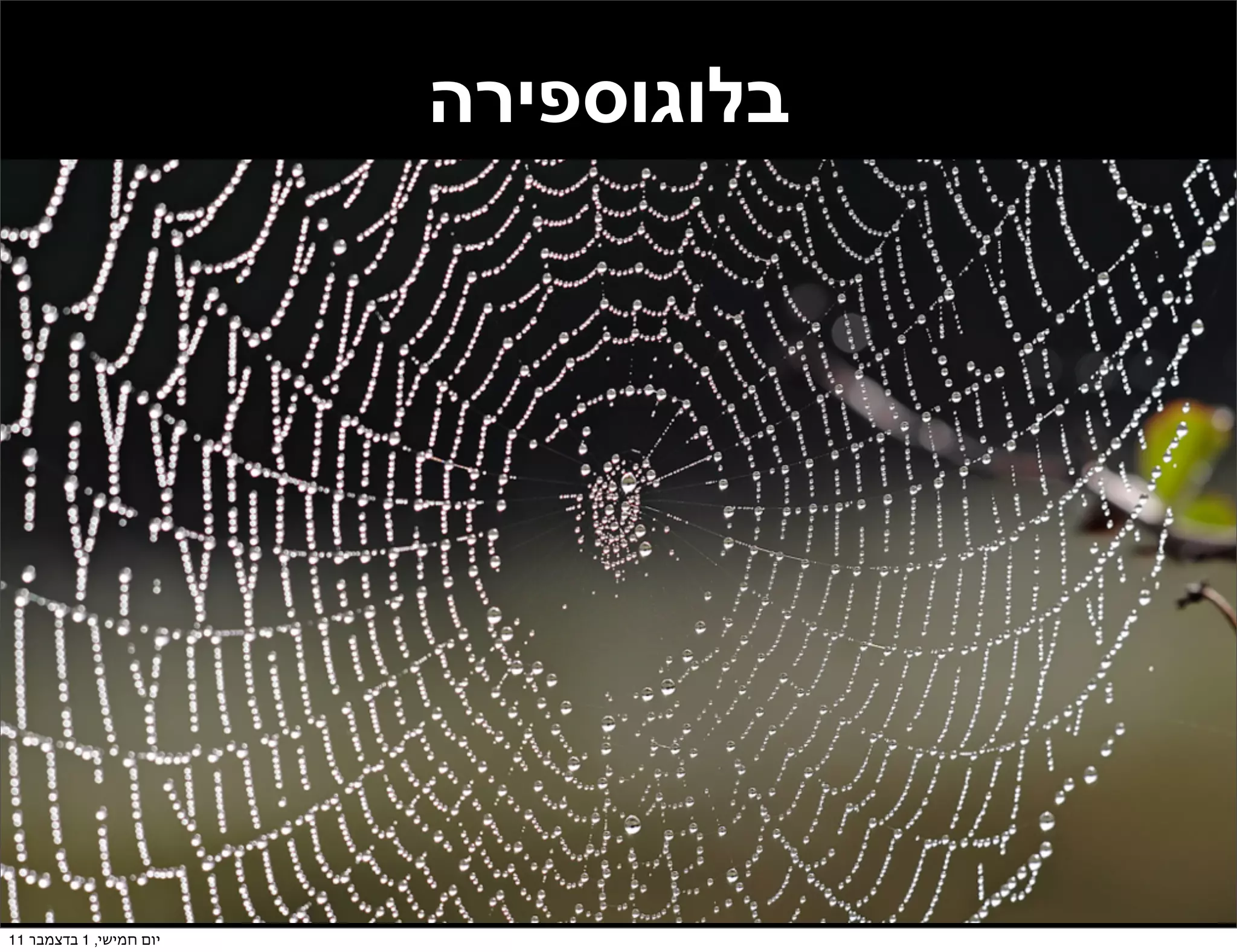 ‫בלוגוספירה‬




‫יום חמישי, 1 בדצמבר 11‬
 