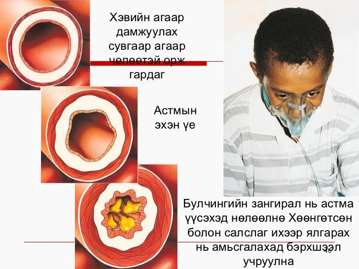 хорт зуршил хичээл н.гэрэлтуяа