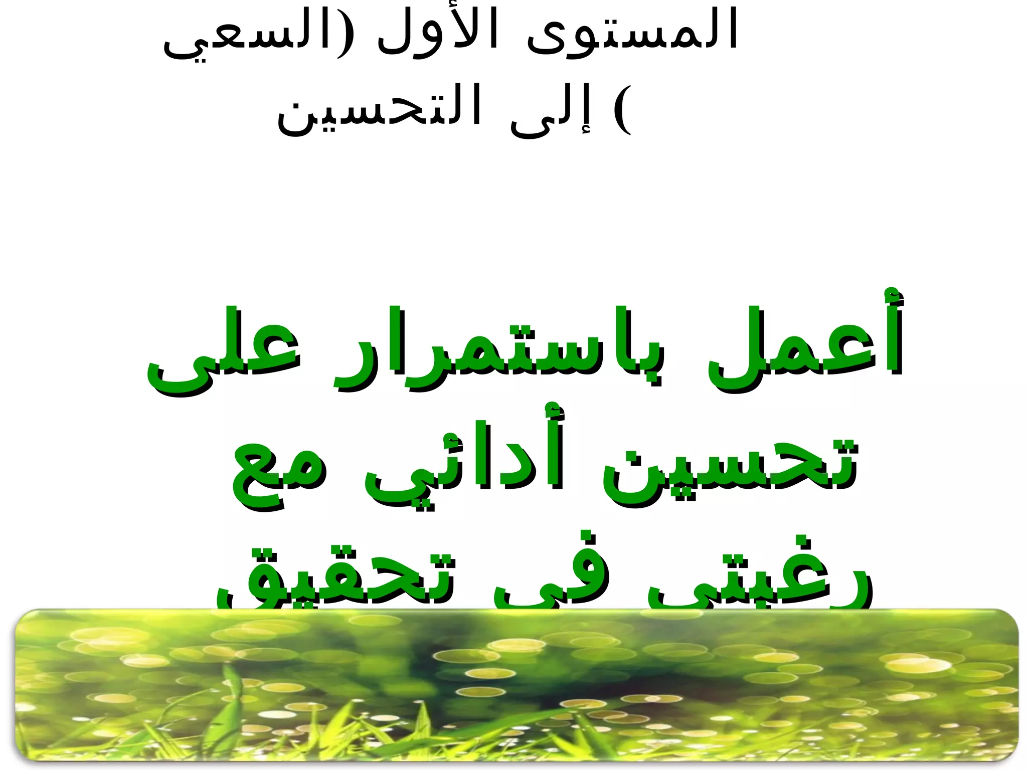 المستوى الأول  ( السعي إلى التحسين )  أعمل باستمرار على تحسين أدائي مع رغبتي في تحقيق الإنجاز . 