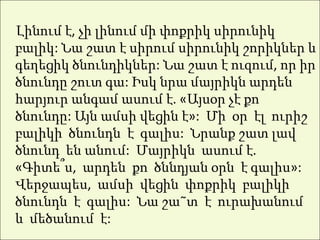 Լինում է, չի լինում մի փոքրիկ սիրունիկ
բալիկ: Նա շատ է սիրում սիրունիկ շորիկներ և
գեղեցիկ ծնունդիկներ: Նա շատ է ուզում, որ իր
ծնունդը շուտ գա: Իսկ նրա մայրիկն արդեն
հարյուր անգամ ասում է. «Այսօր չէ քո
ծնունդը: Այն ամսի վեցին է»: Մի օր էլ ուրիշ
բալիկի ծնունդն է գալիս: Նրանք շատ լավ
ծնունդ են անում: Մայրիկն ասում է.
«Գիտե՞ս, արդեն քո ծննդյան օրն է գալիս»:
Վերջապես, ամսի վեցին փոքրիկ բալիկի
ծնունդն է գալիս: Նա շա˜տ է ուրախանում
և մեծանում է:
 