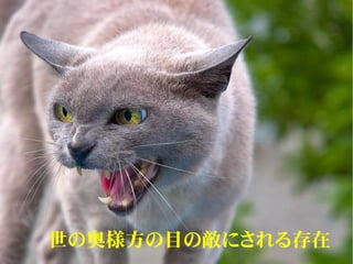 　　世の奥様方の目の敵にされる存在
 